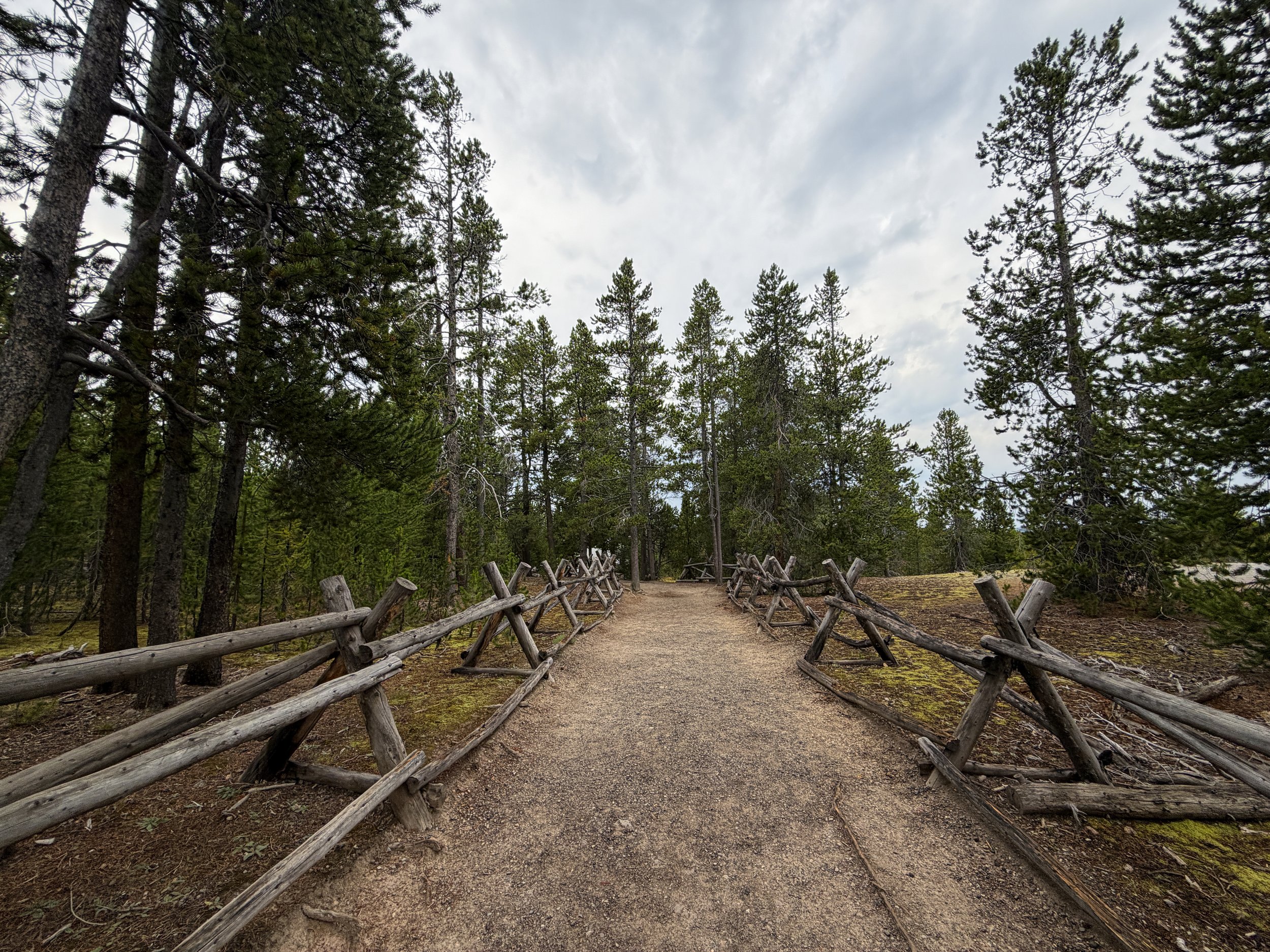 Norris Geyser Basin Trail Yellowstone National Park Wyoming