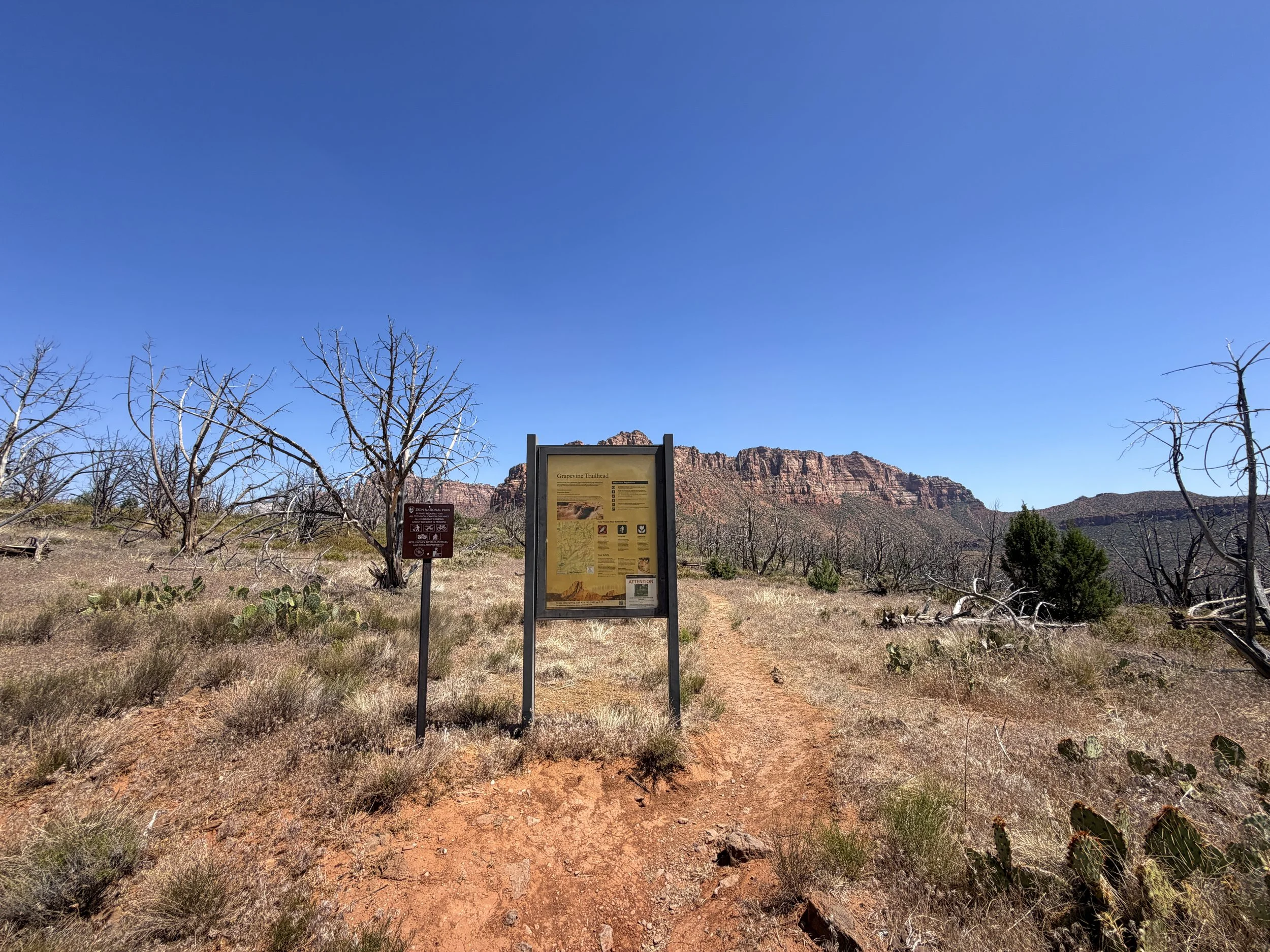 Grapevine Trailhead Zion National Park Utah