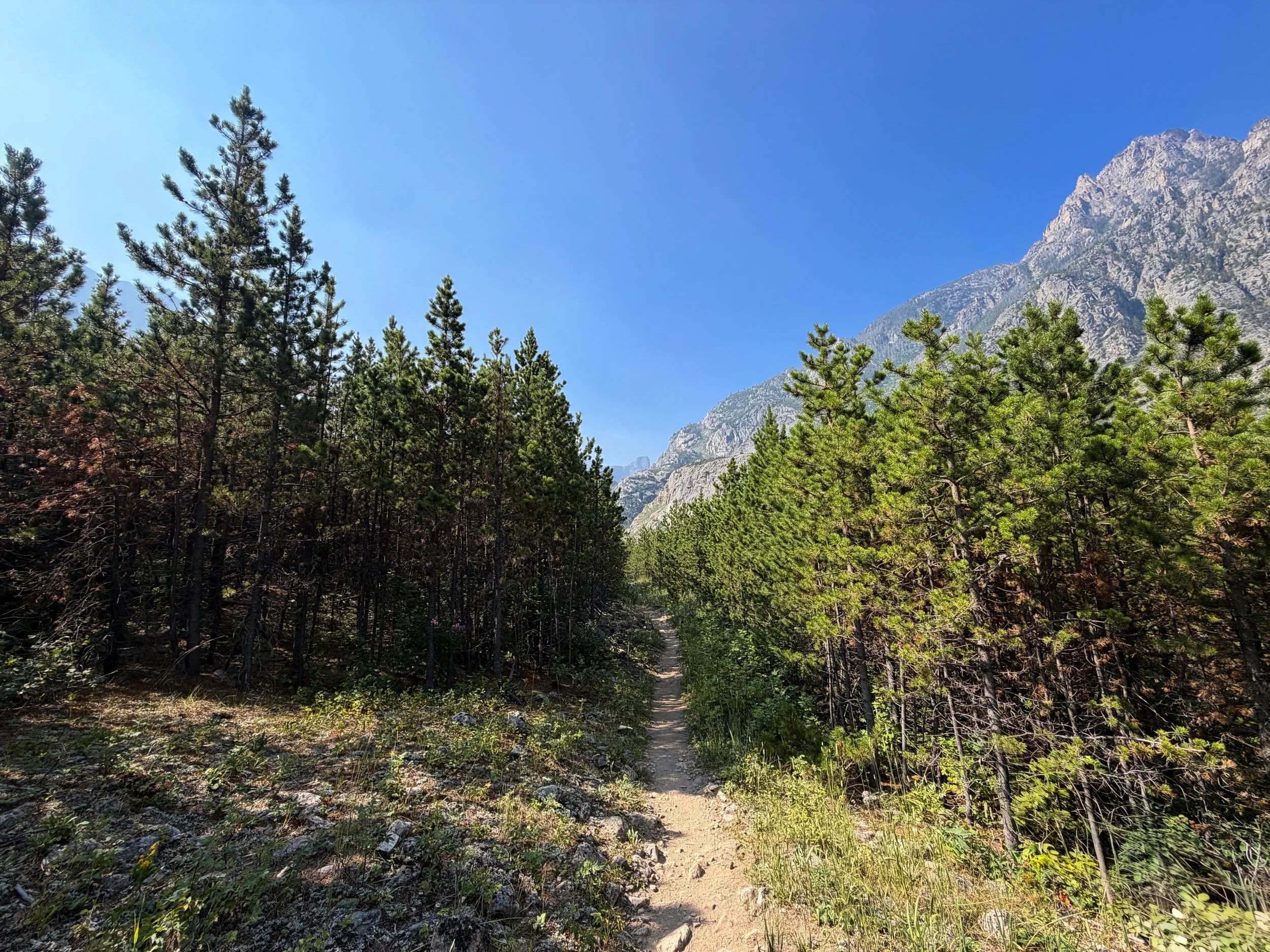 Beaten Path Trail Beartooth Mountains Montana