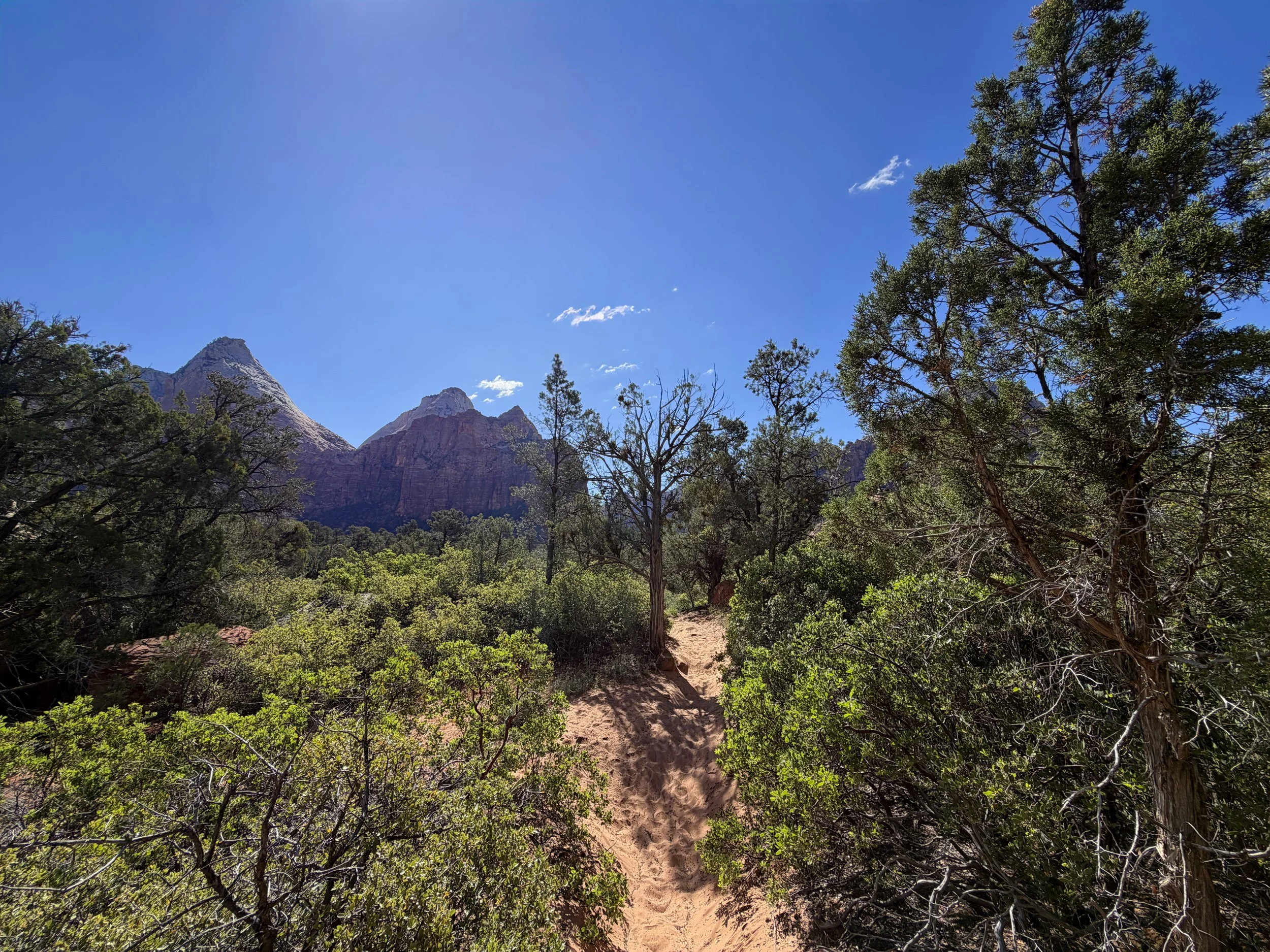 Sand Bench Trail Zion National Park Utah