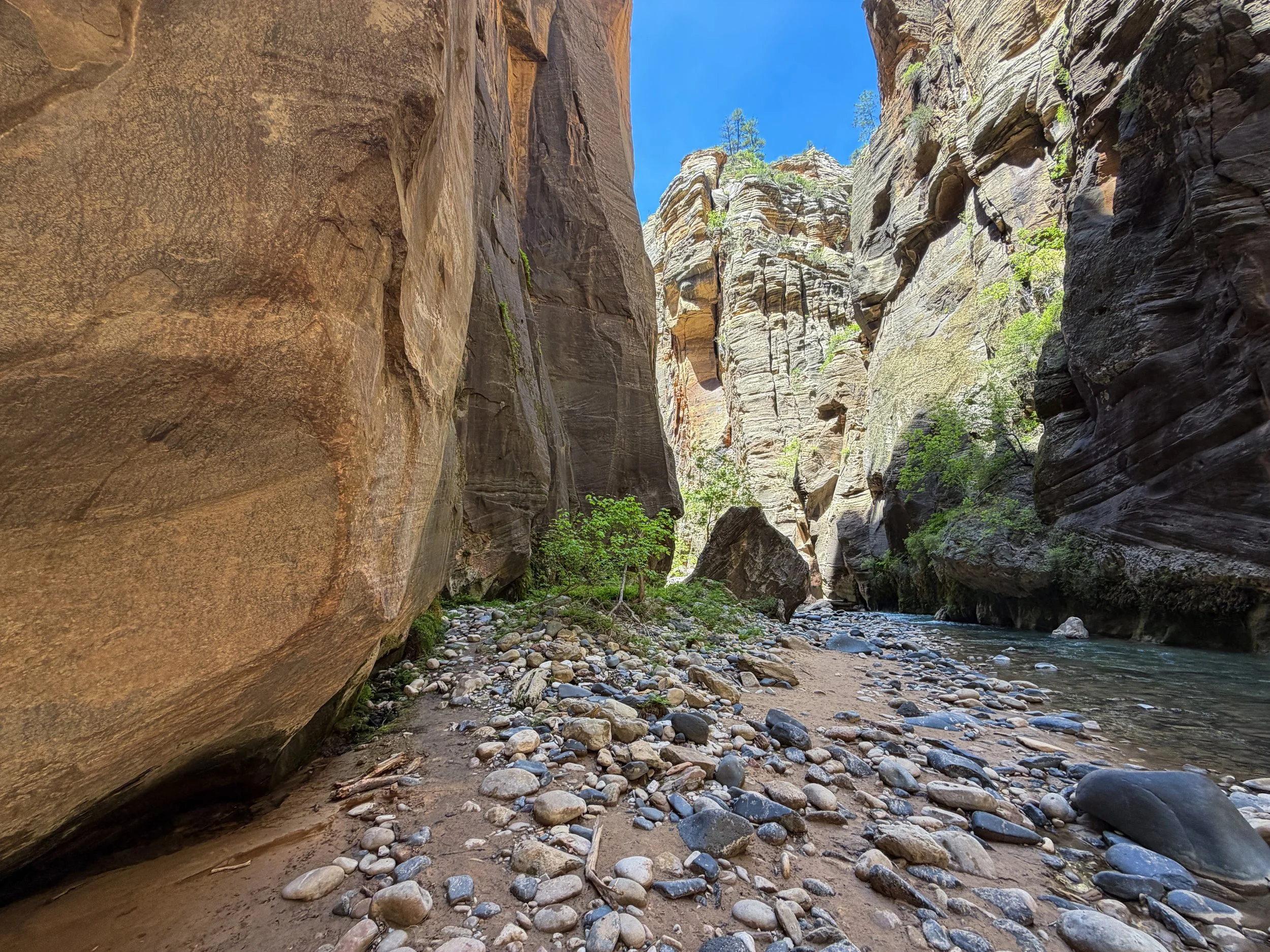 The Narrows Zion National Park Utah