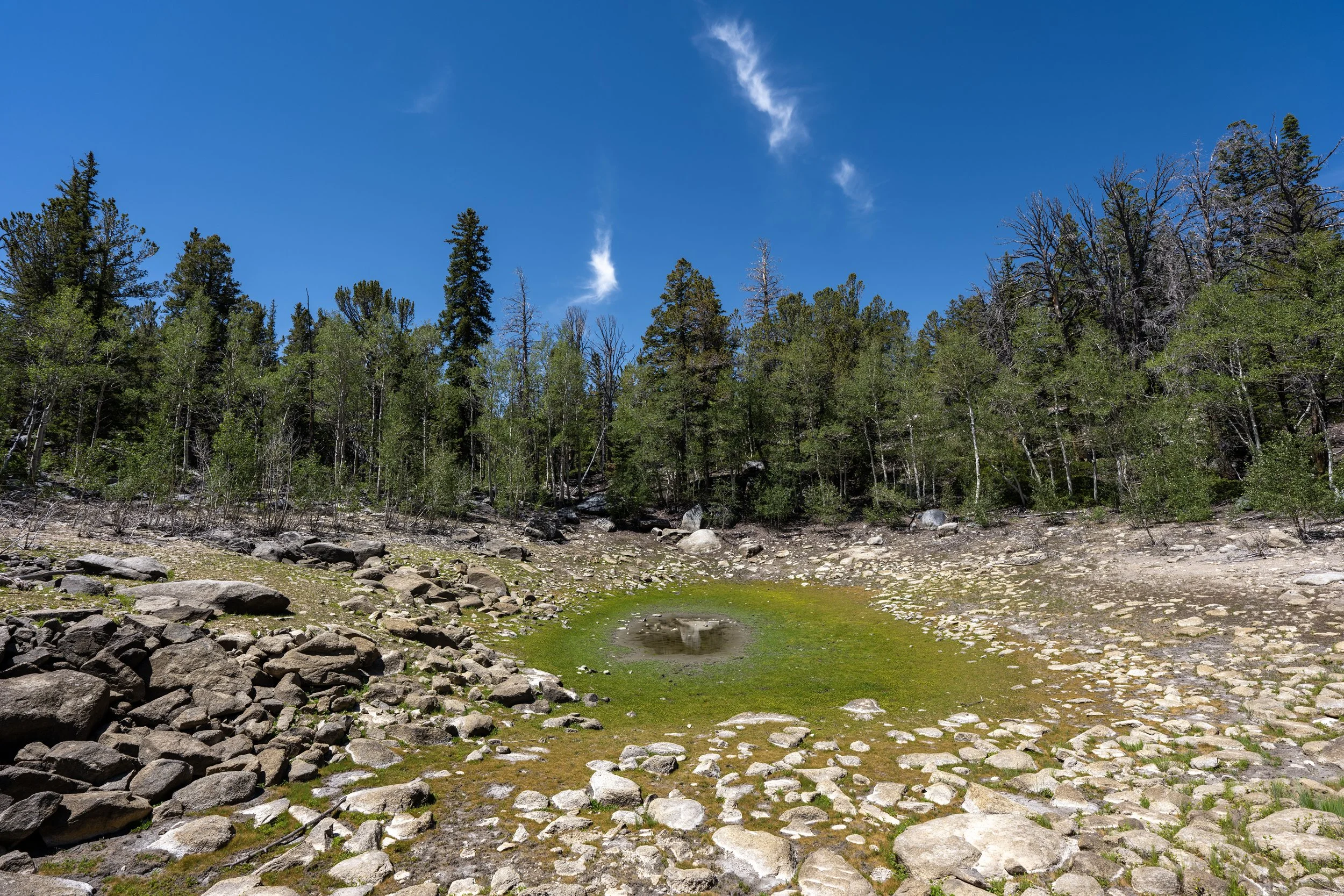 Dead Lake