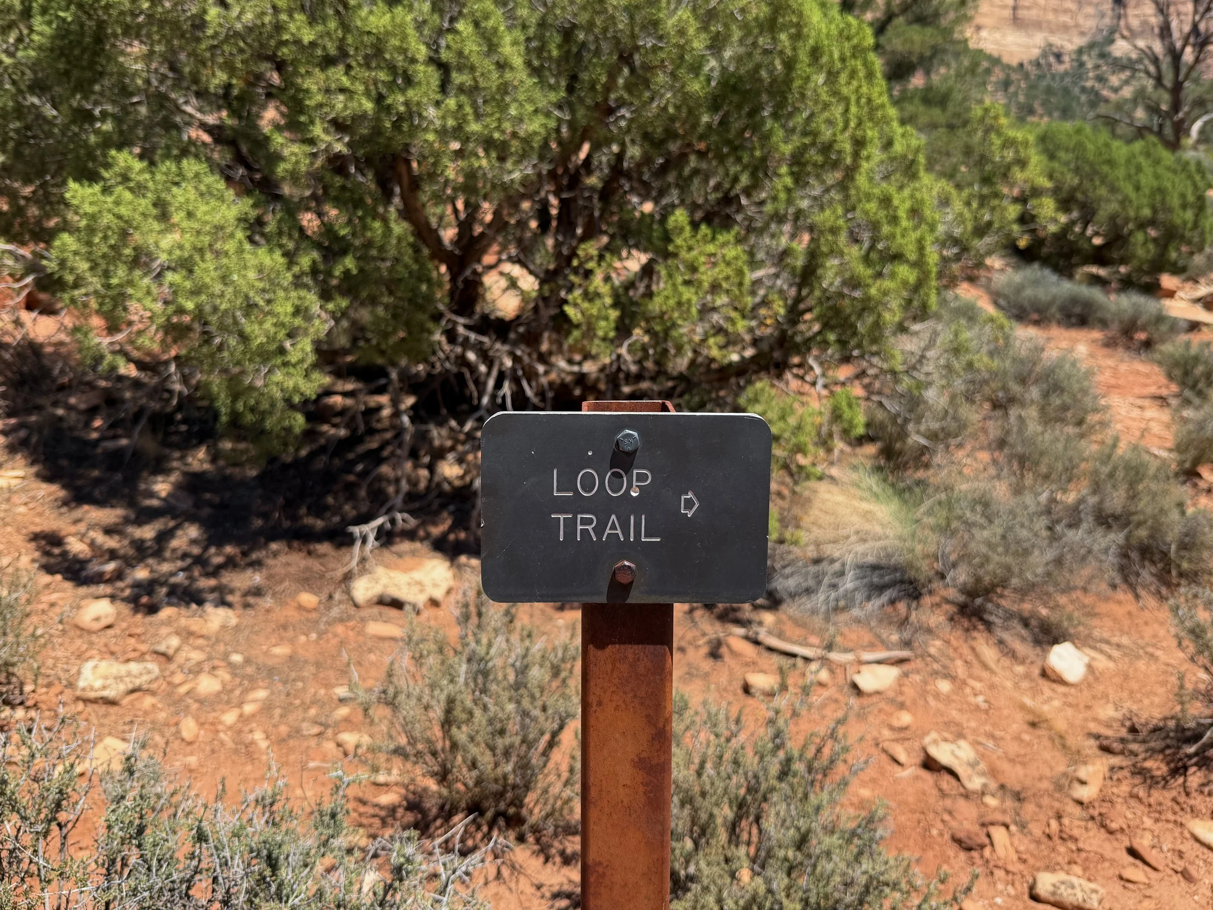 Watchman Loop Trail Zion National Park Utah