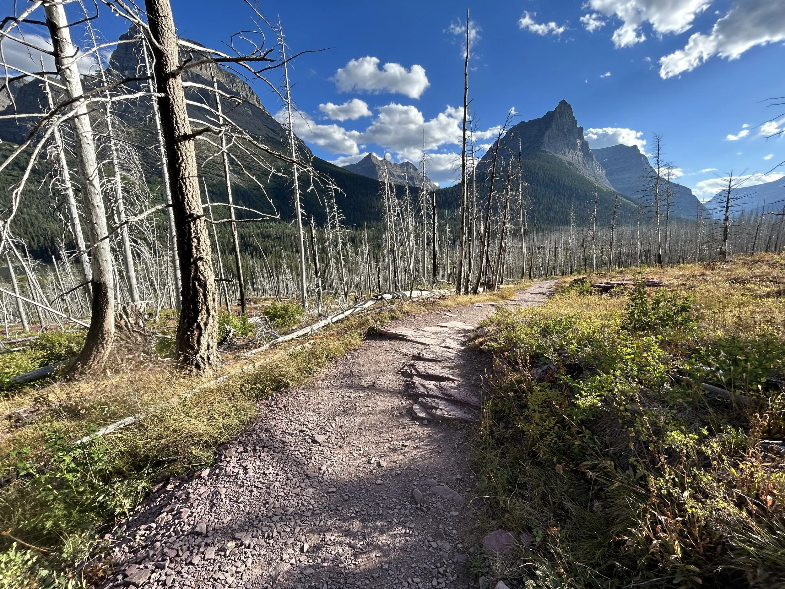 Hiking the St. Mary & Virginia Falls Trail in Glacier National Park ...