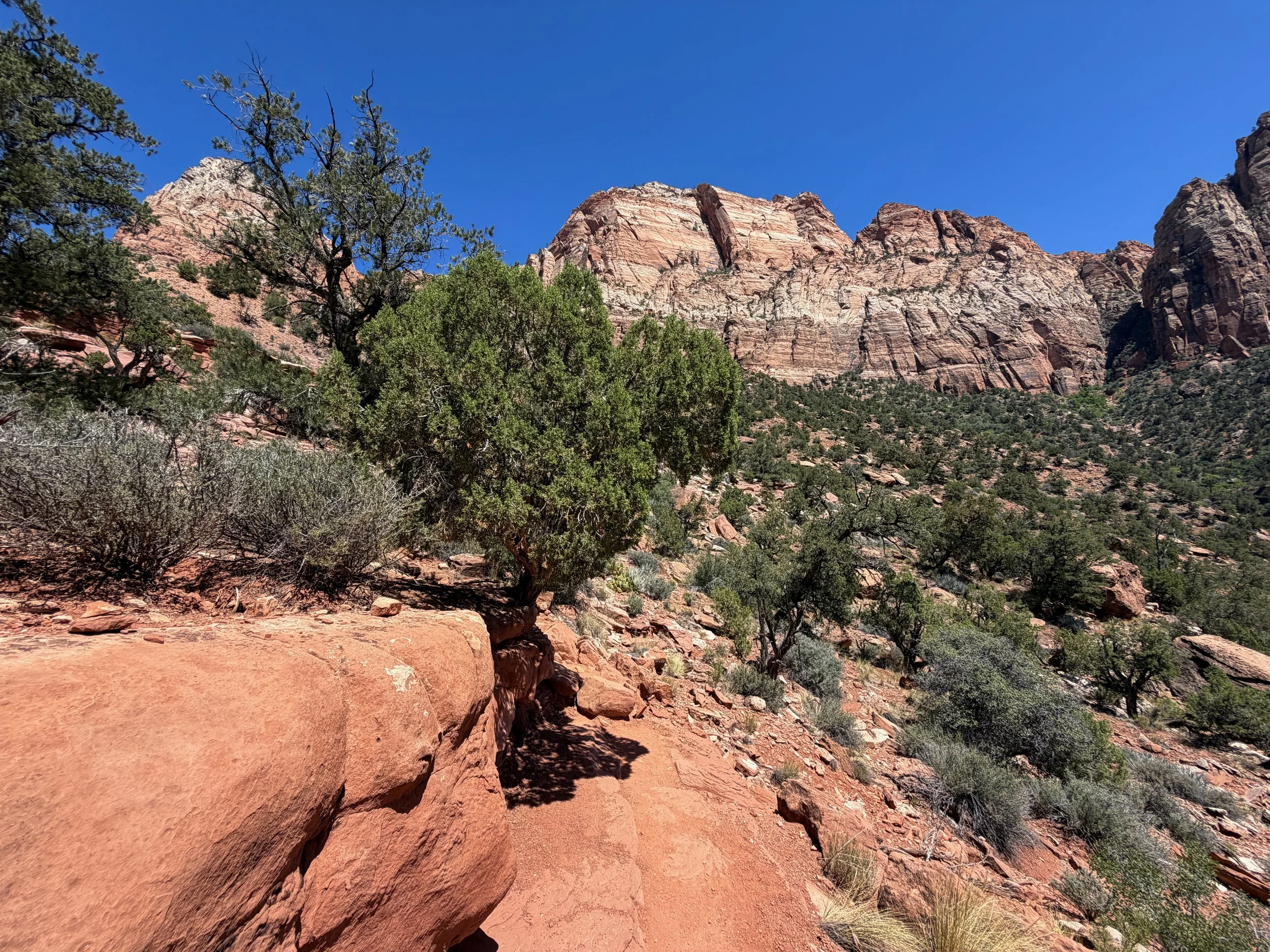 Watchman Loop Trail Zion National Park Utah