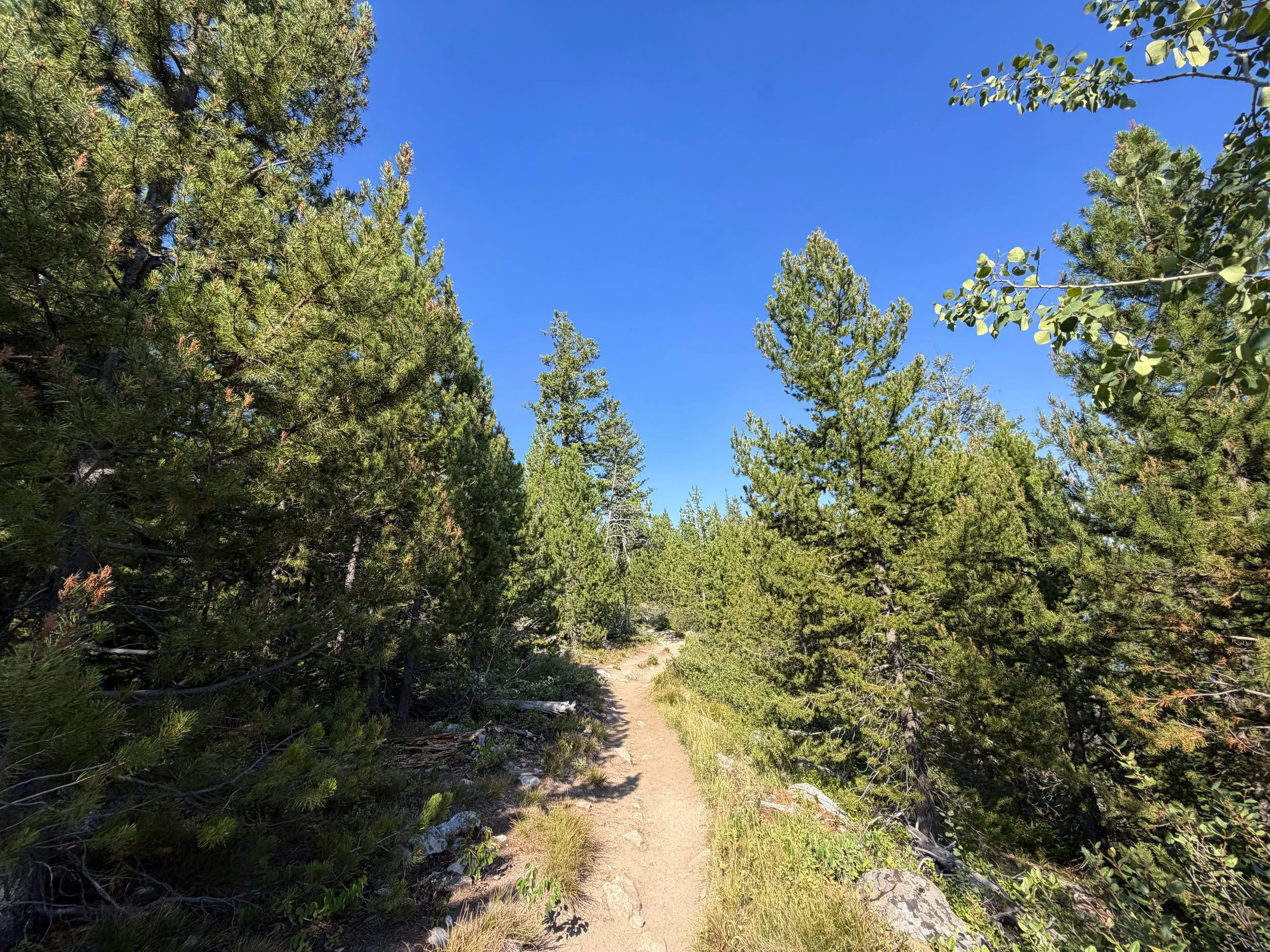 Jenny Lake Trail Grand Teton National Park Wyoming