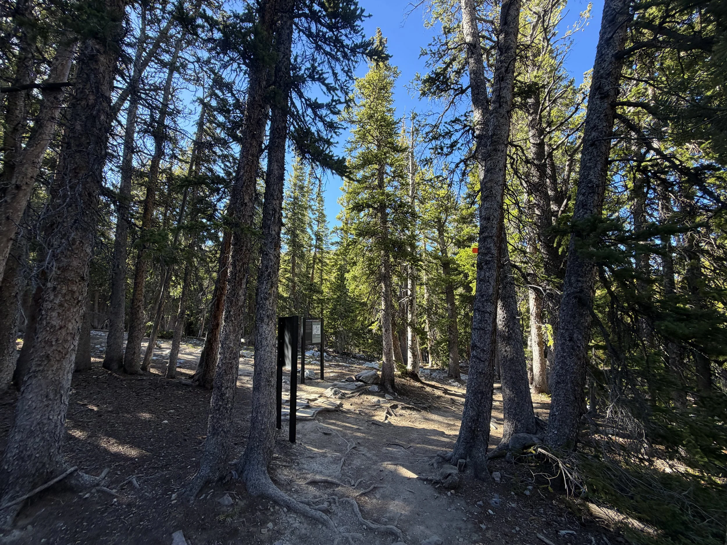 Alpine Lakes Loop Trail Great Basin National Park Nevada