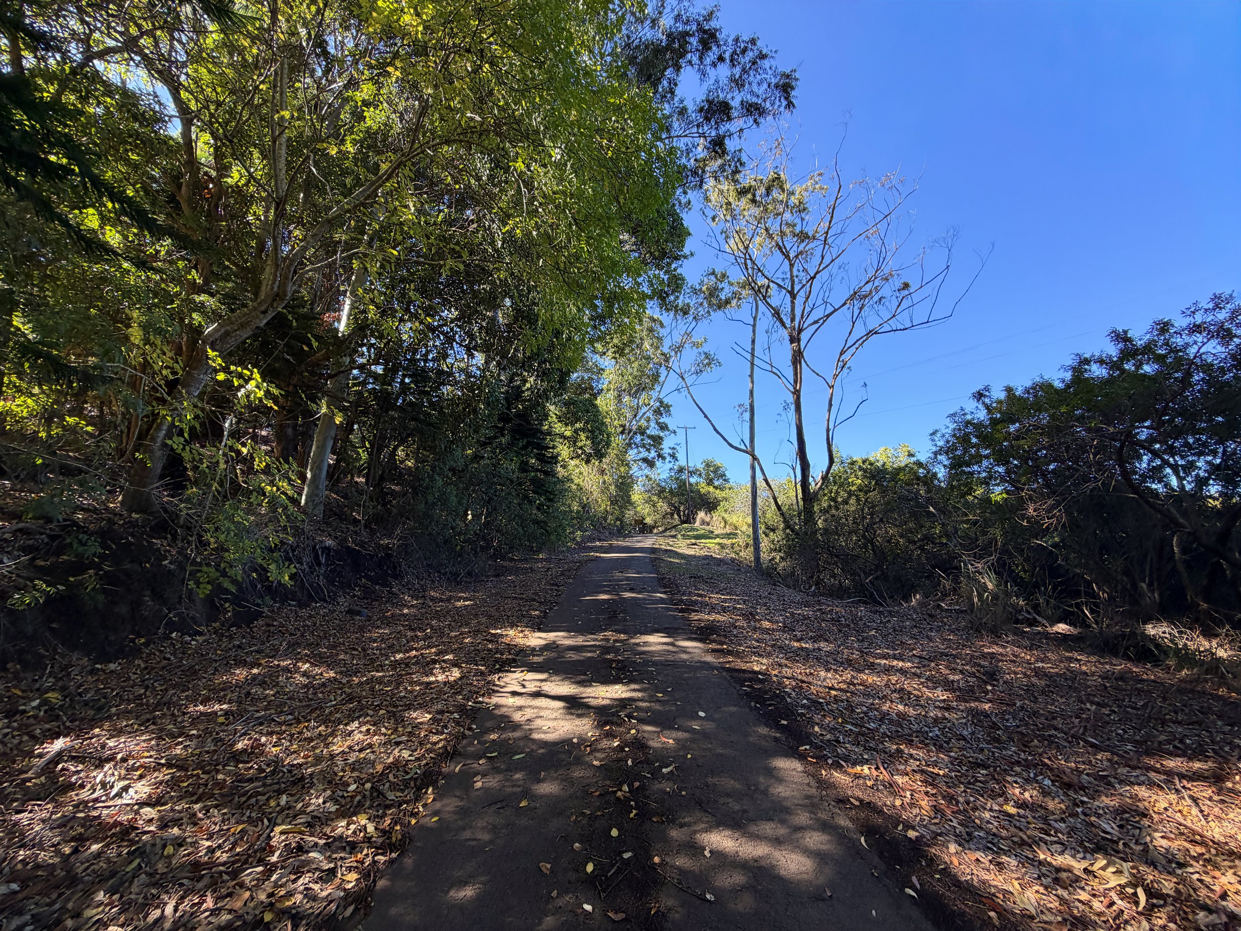 Mokuleia Forest Reserve Access Road to Peacock Flats Oahu Hawaii