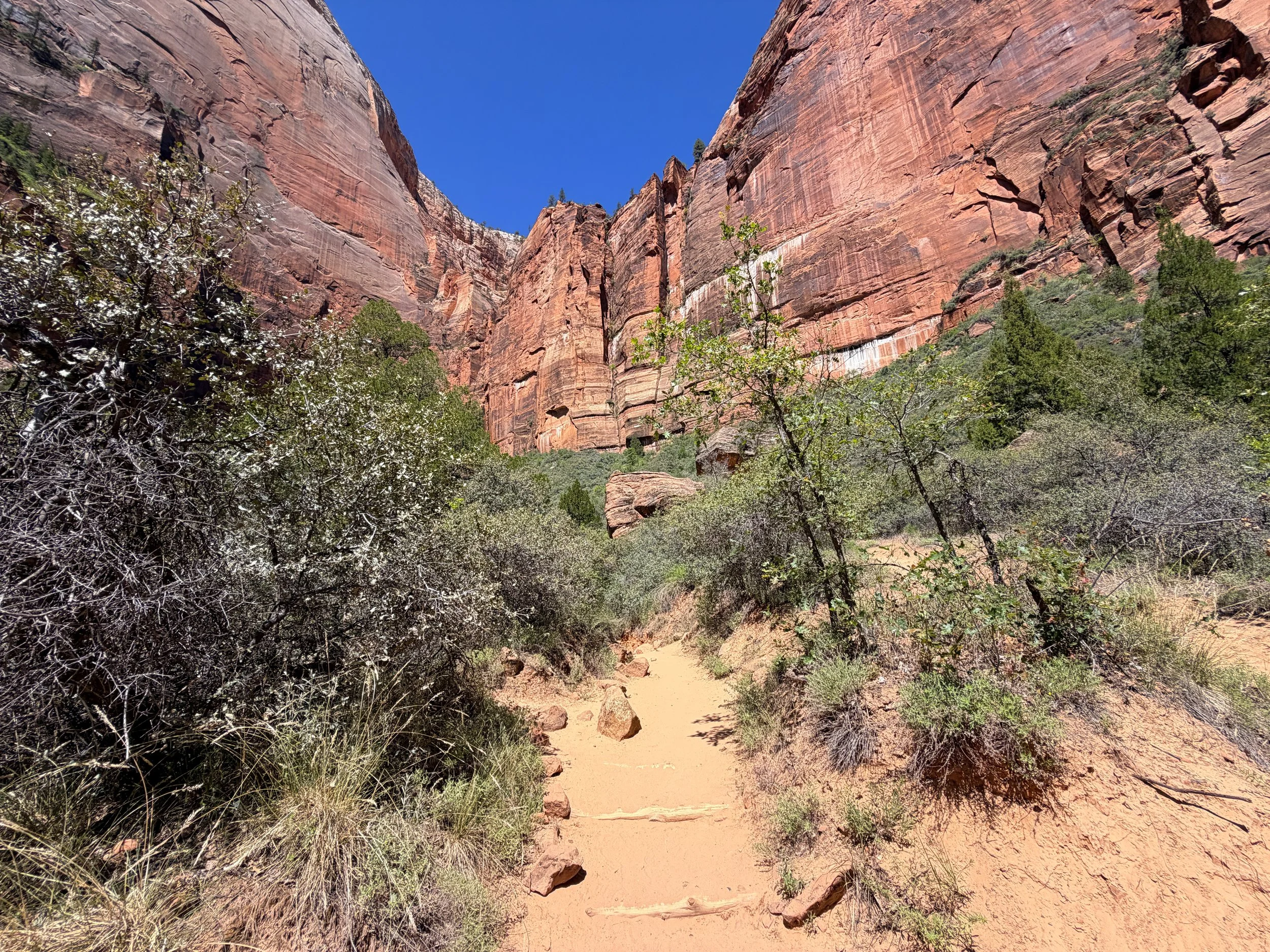 Upper Emerald Pools Trail Zion National Park Utah