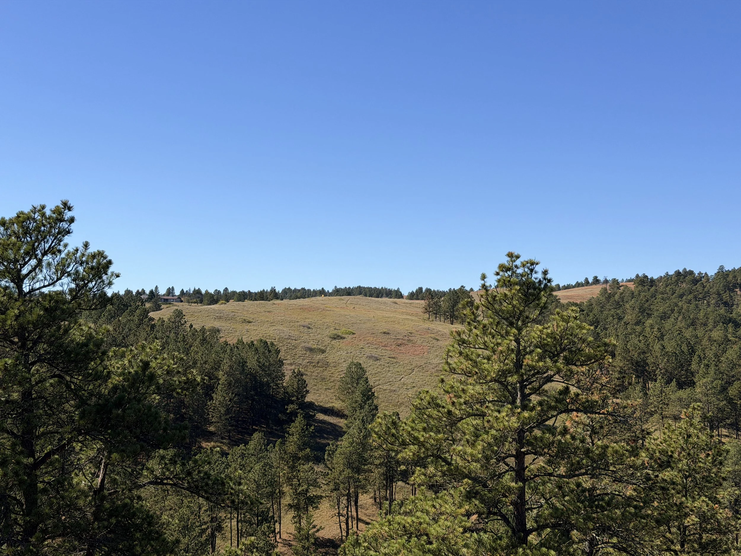 East Bison Flats Trail Wind Cave National Park South Dakota