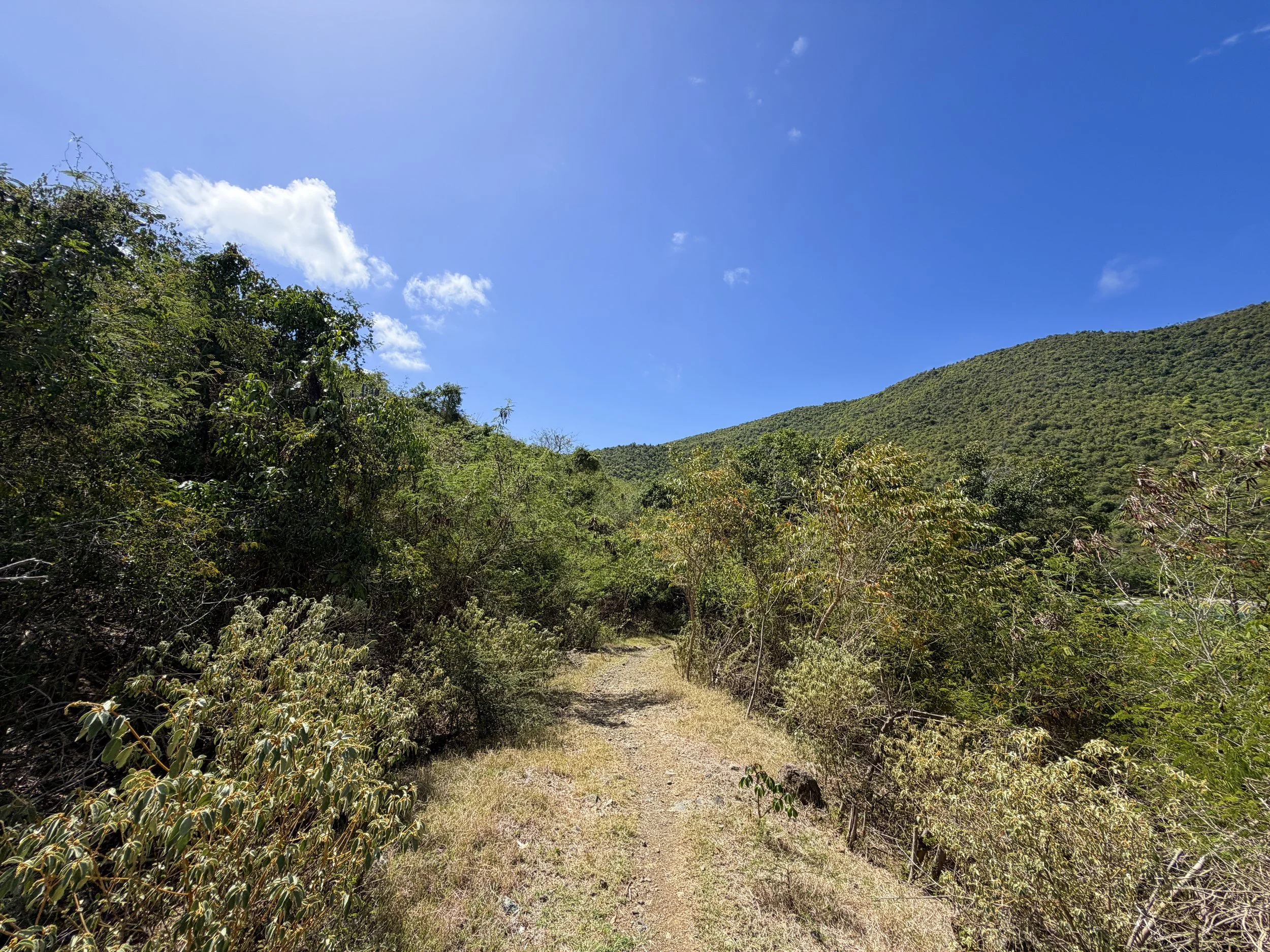 Johnny Horn Trail Virgin Islands National Park