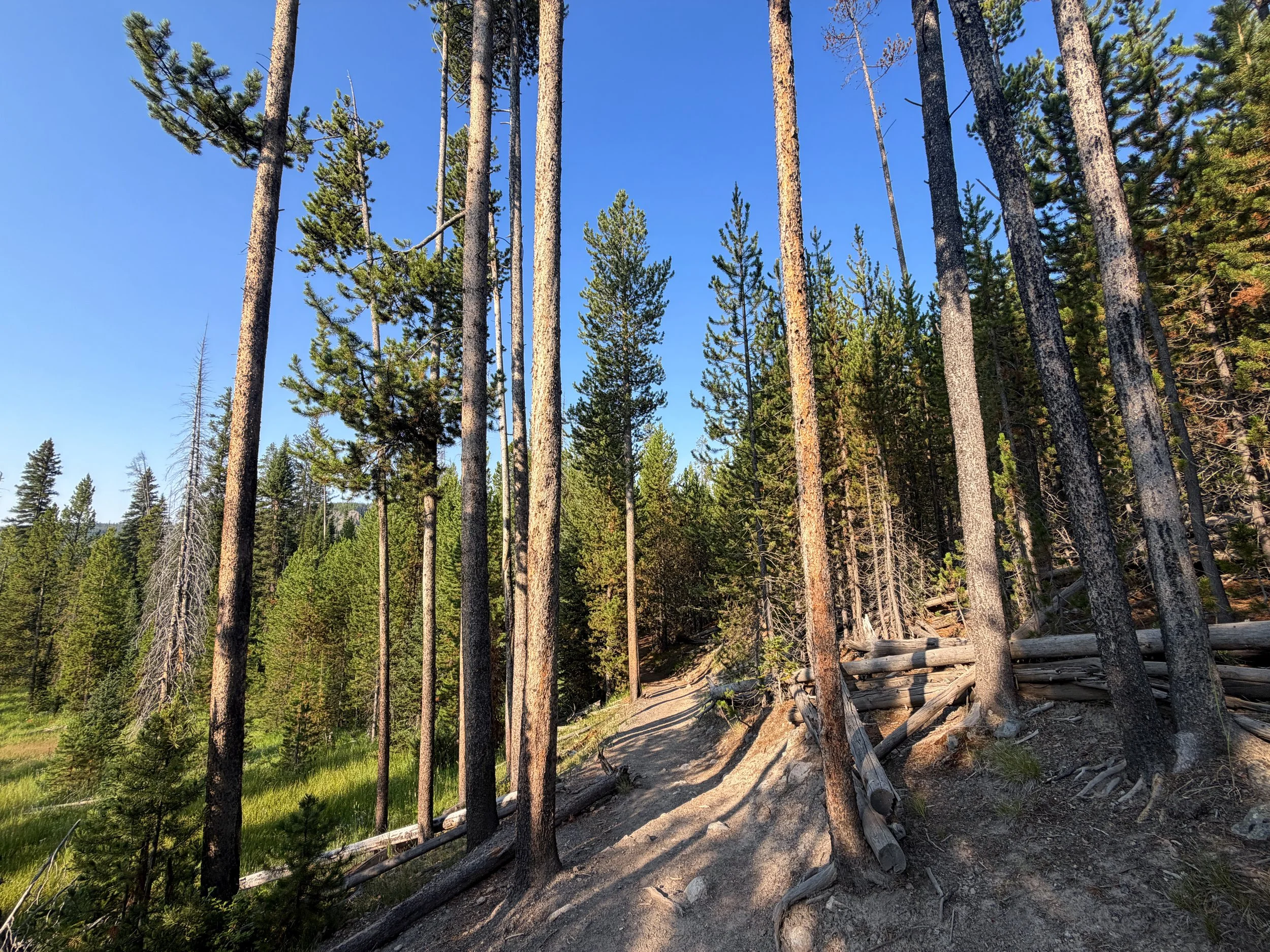 Mystic Falls Loop Trail Yellowstone National Park Wyoming