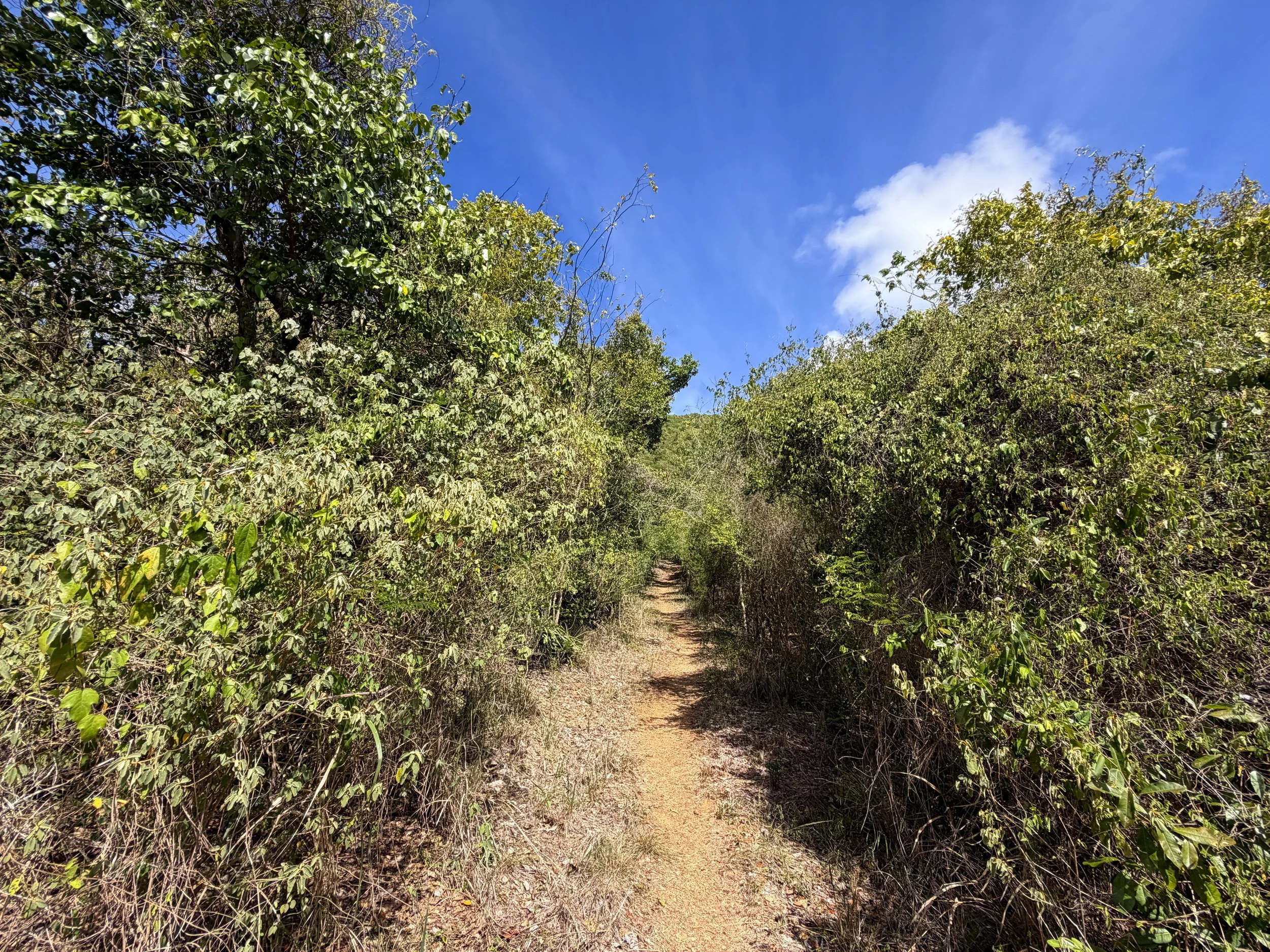 Lameshur Bay Hike Virgin Islands National Park