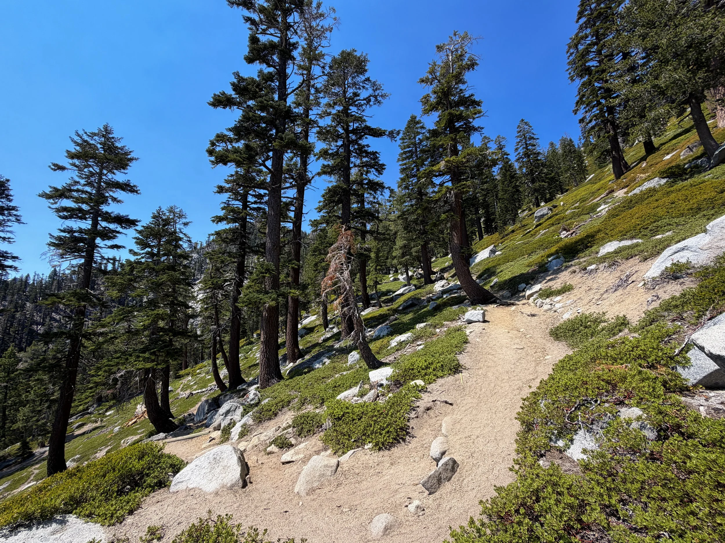 Bayview Trail to Maggies Peak Lake Tahoe California