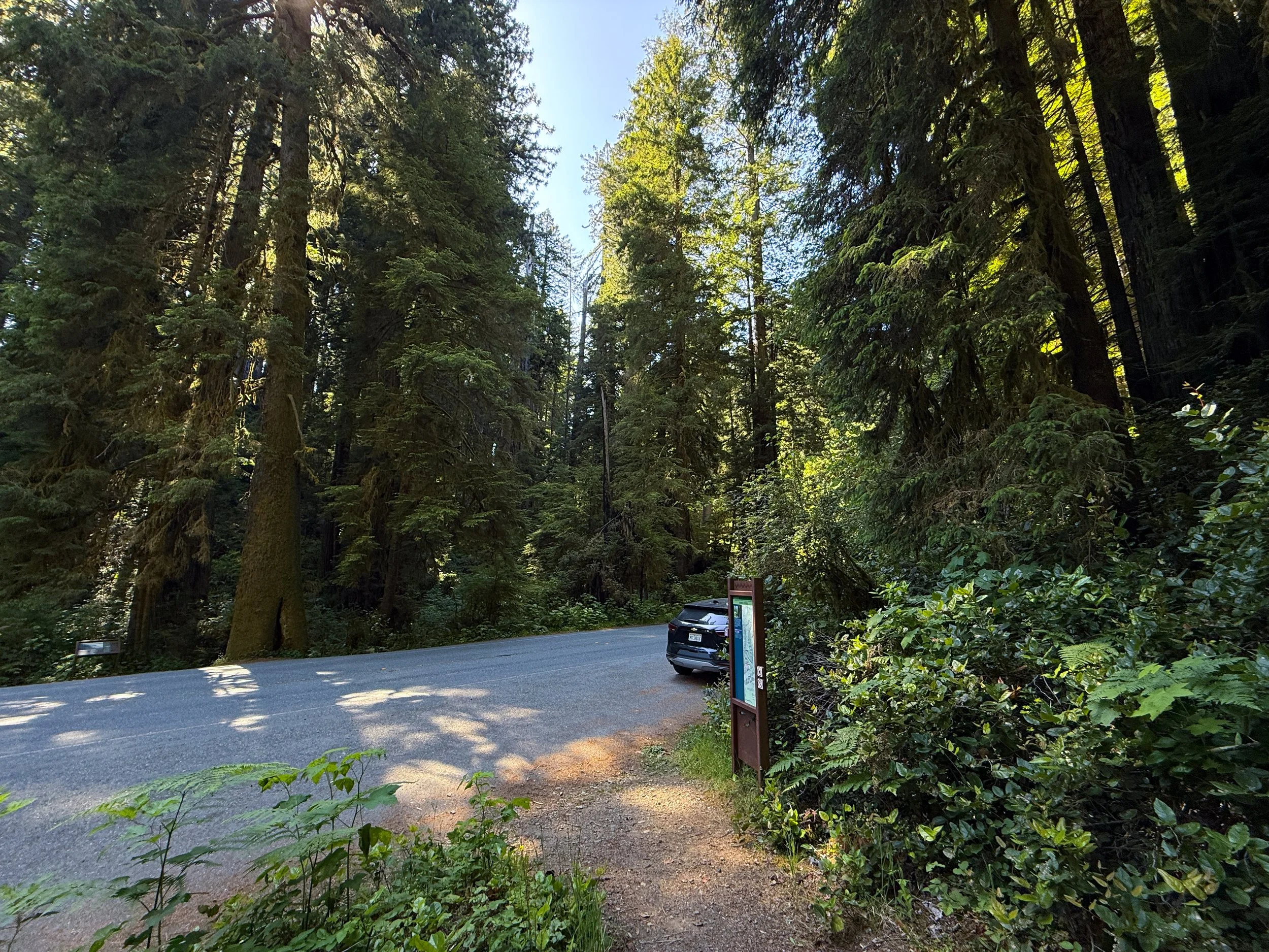 Ten Taypo–Hope Creek Loop Trailhead Prairie Creek Redwoods State Park California