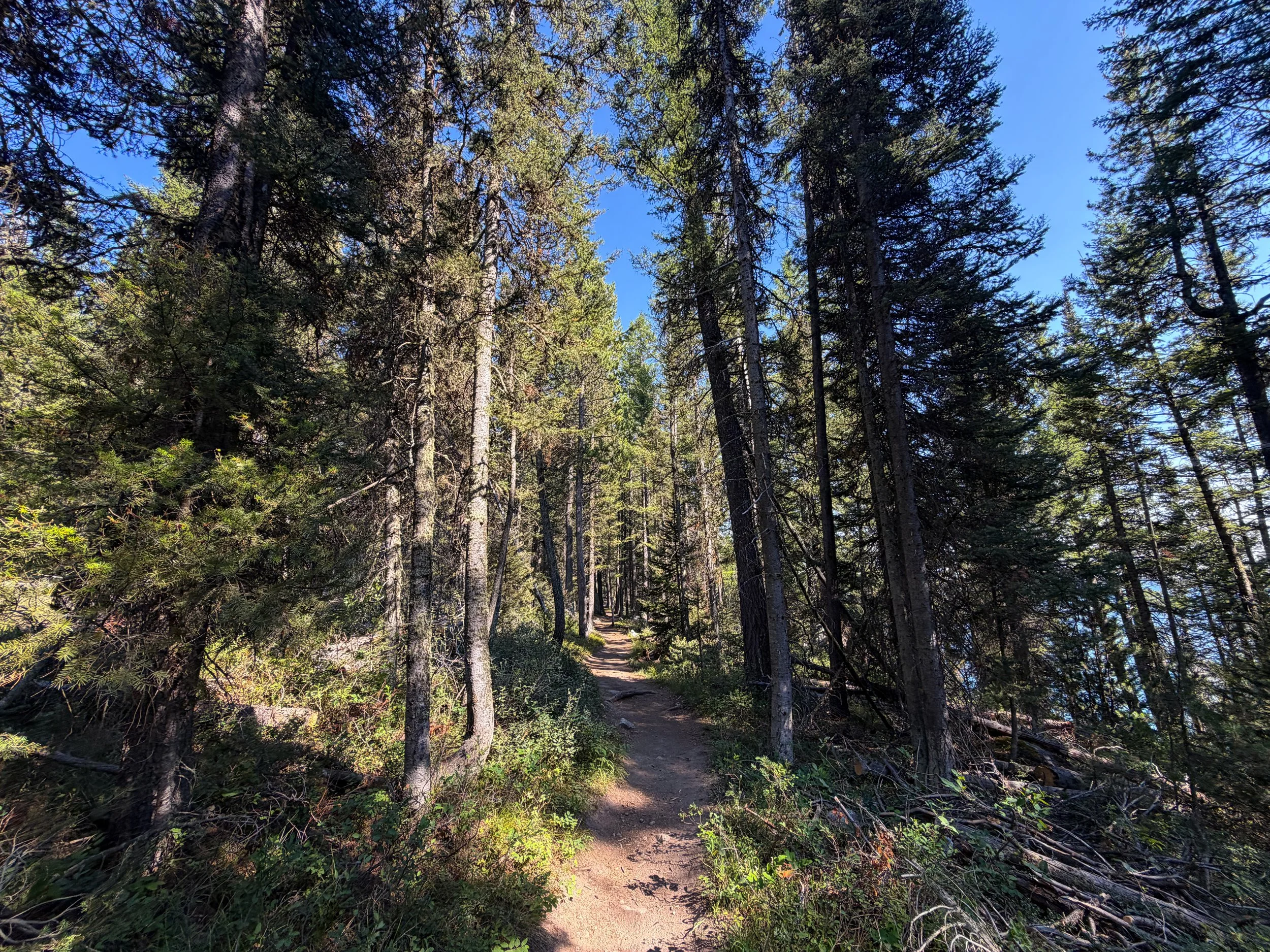 Jenny Lake Trail Grand Teton National Park Wyoming