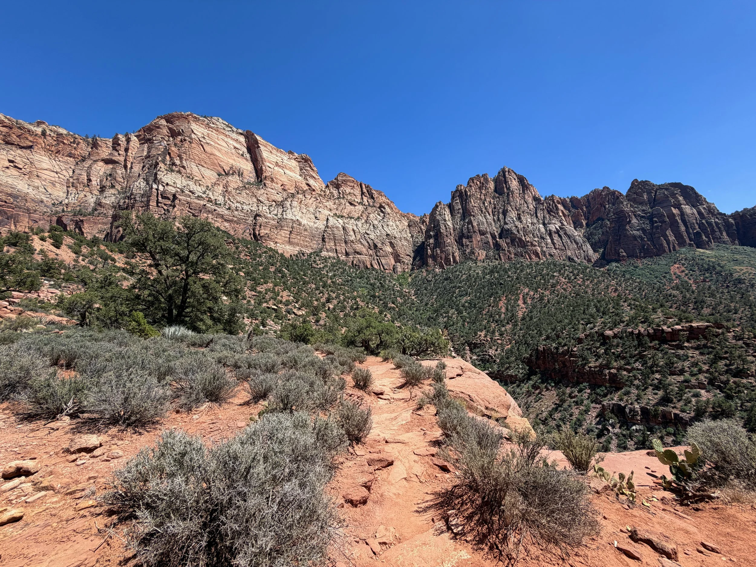 Watchman Loop Hike Zion National Park Utah