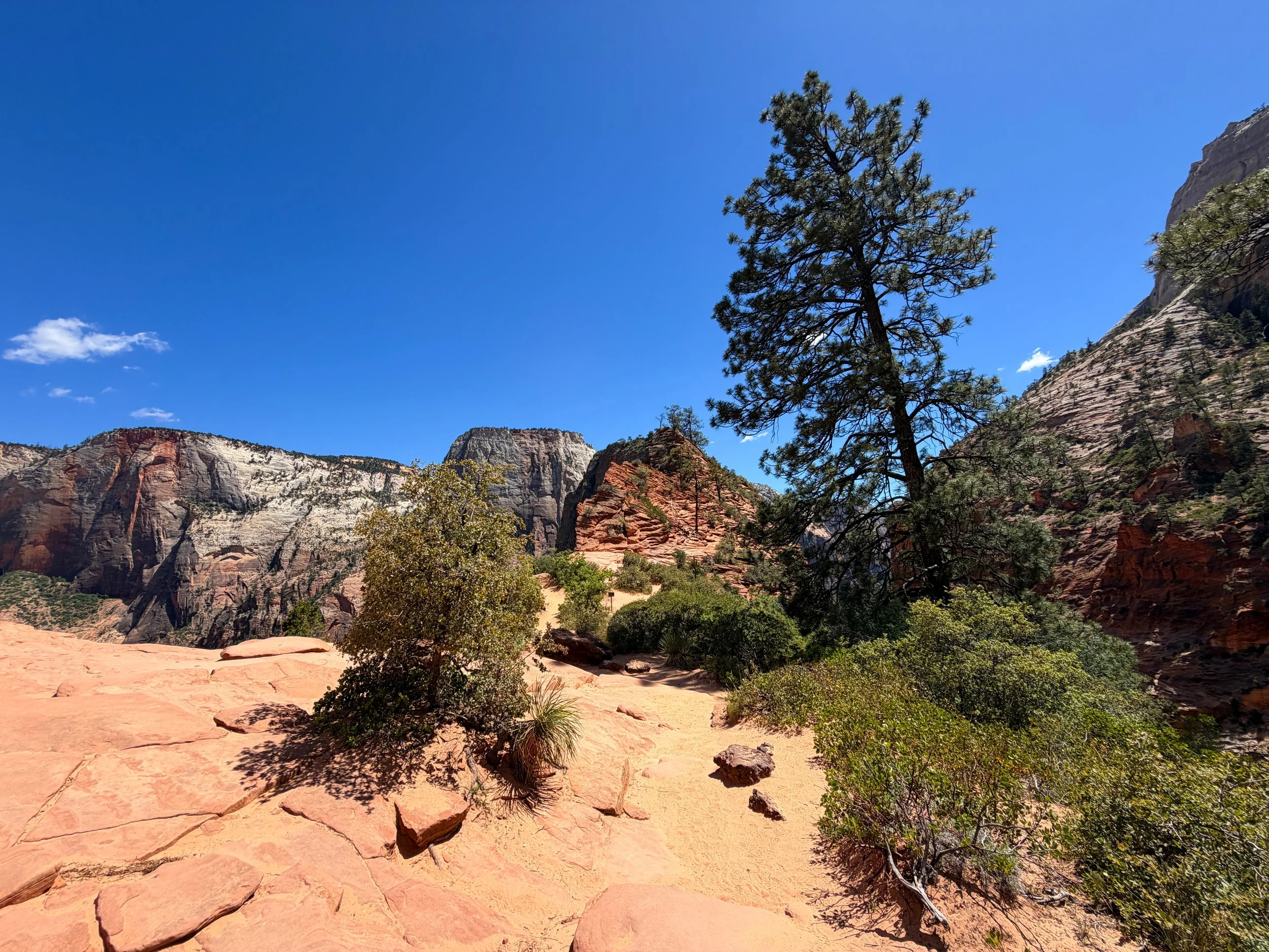 Angels Landing Trail Scout Lookout Zion National Park Utah