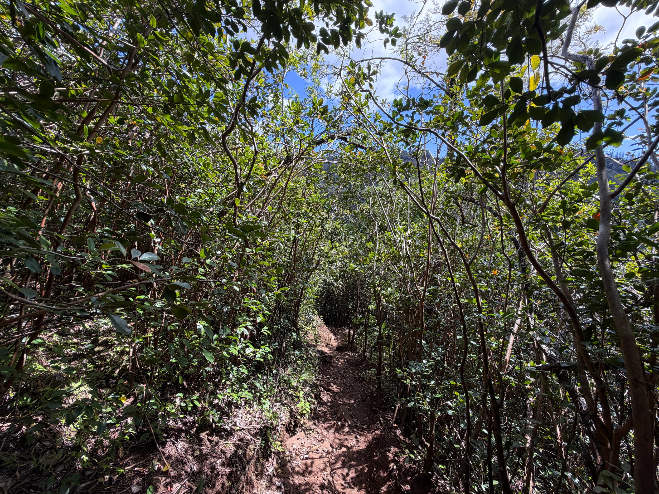 Waimano Pools Trail Oahu Hawaii