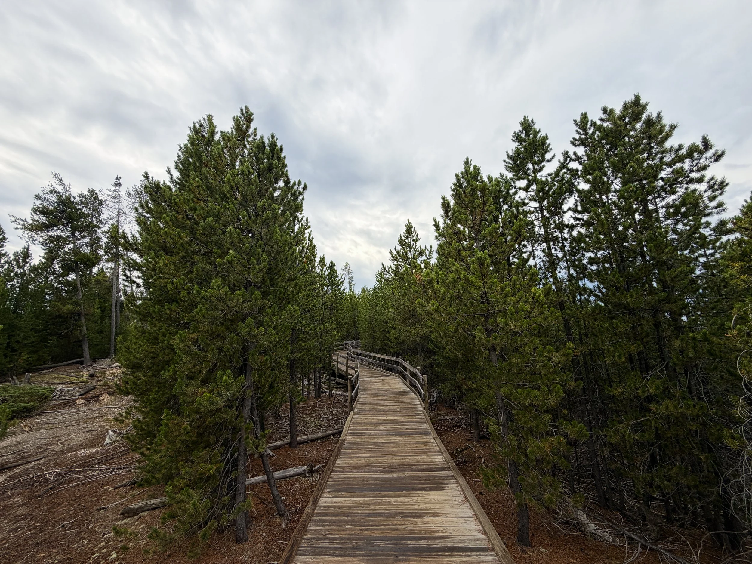 Norris Geyser Basin Trail Yellowstone National Park Wyoming