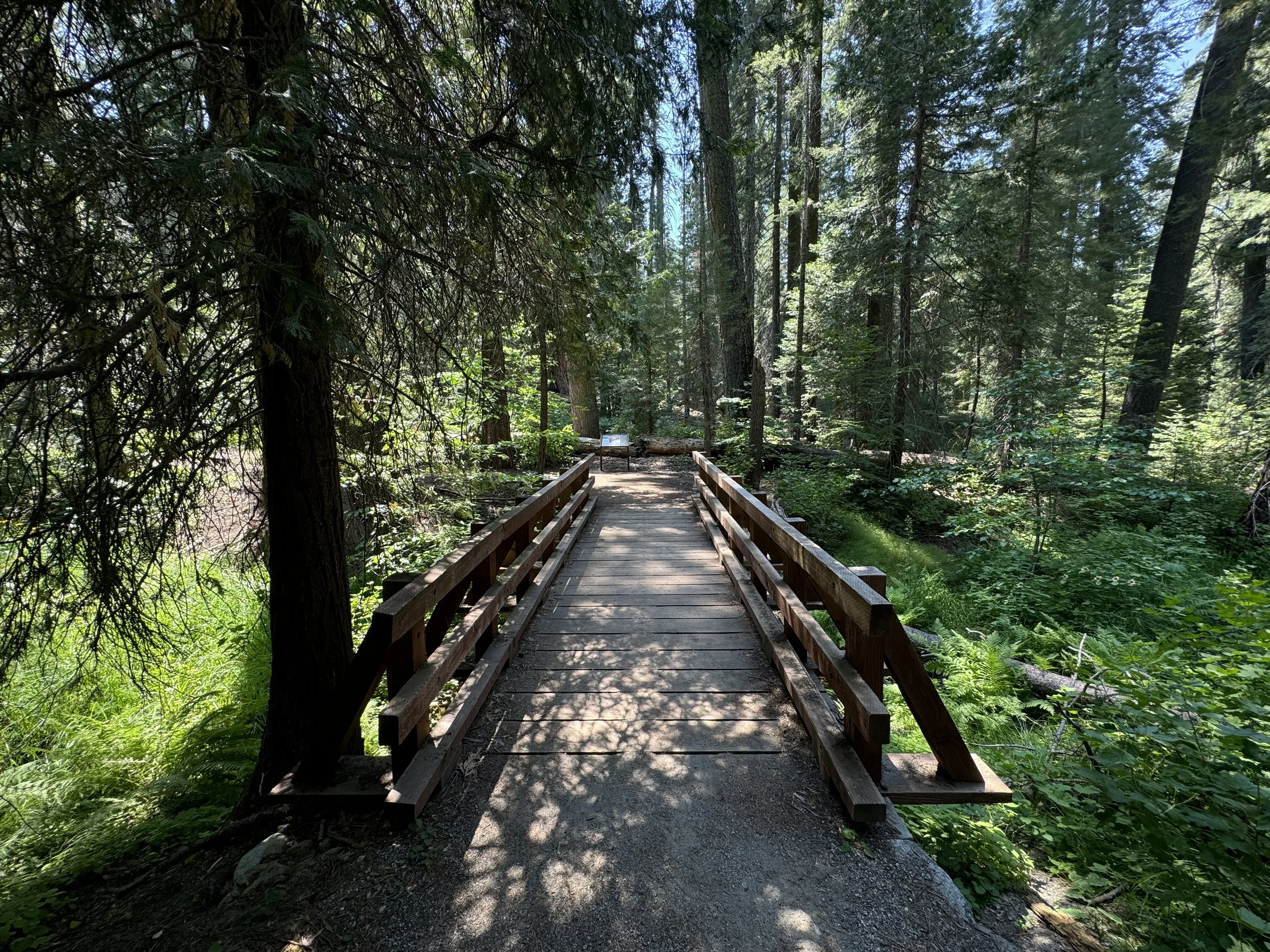 Hiking the Hazelwood Nature Loop Trail in Sequoia National Park — noahawaii