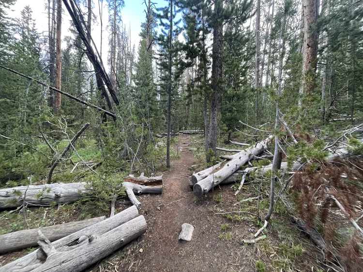 Hiking the Sacred Rim Trail in Pinedale, Wyoming — noahawaii