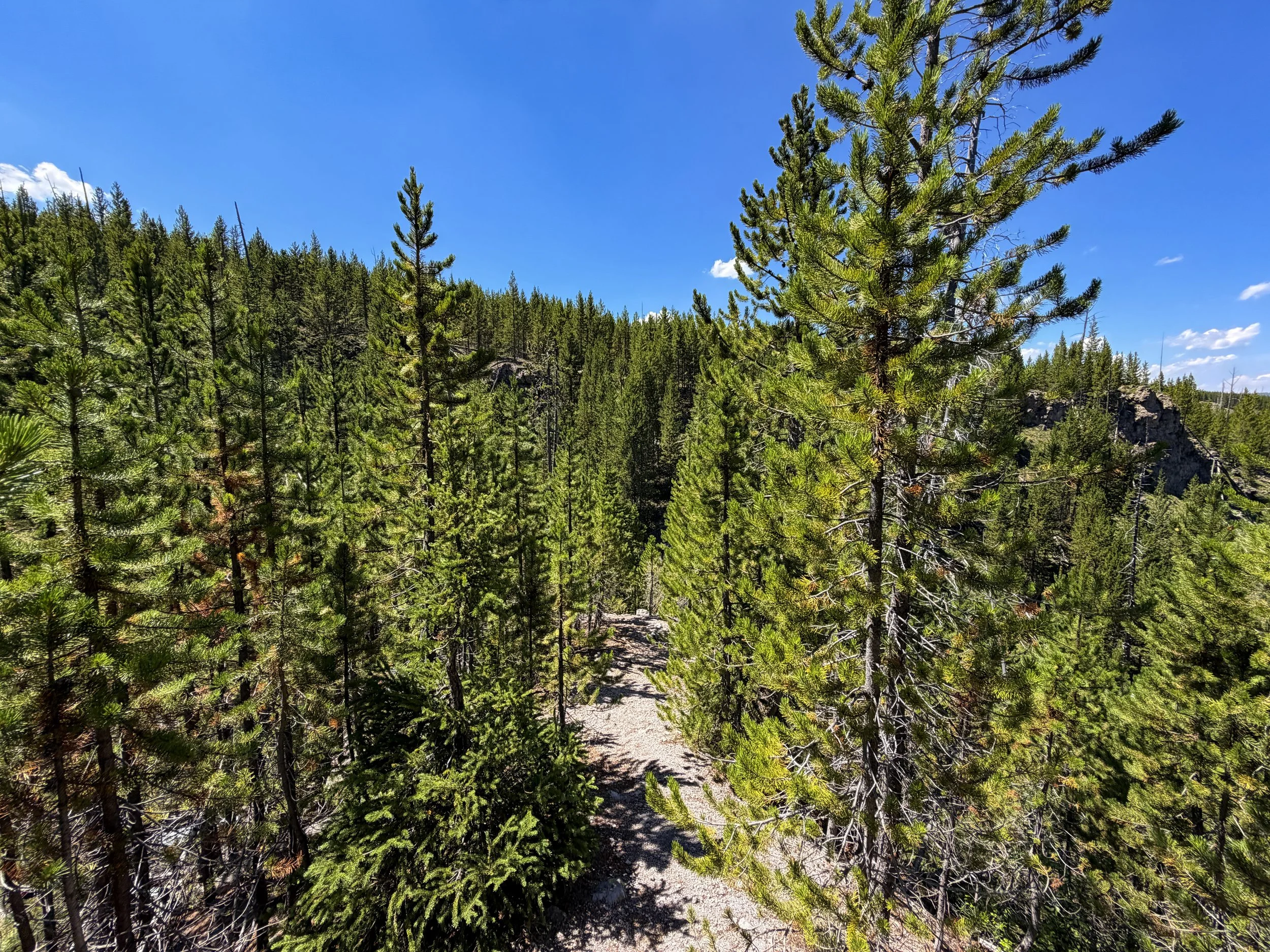 Fern Cascades Trail Yellowstone National Park Wyoming