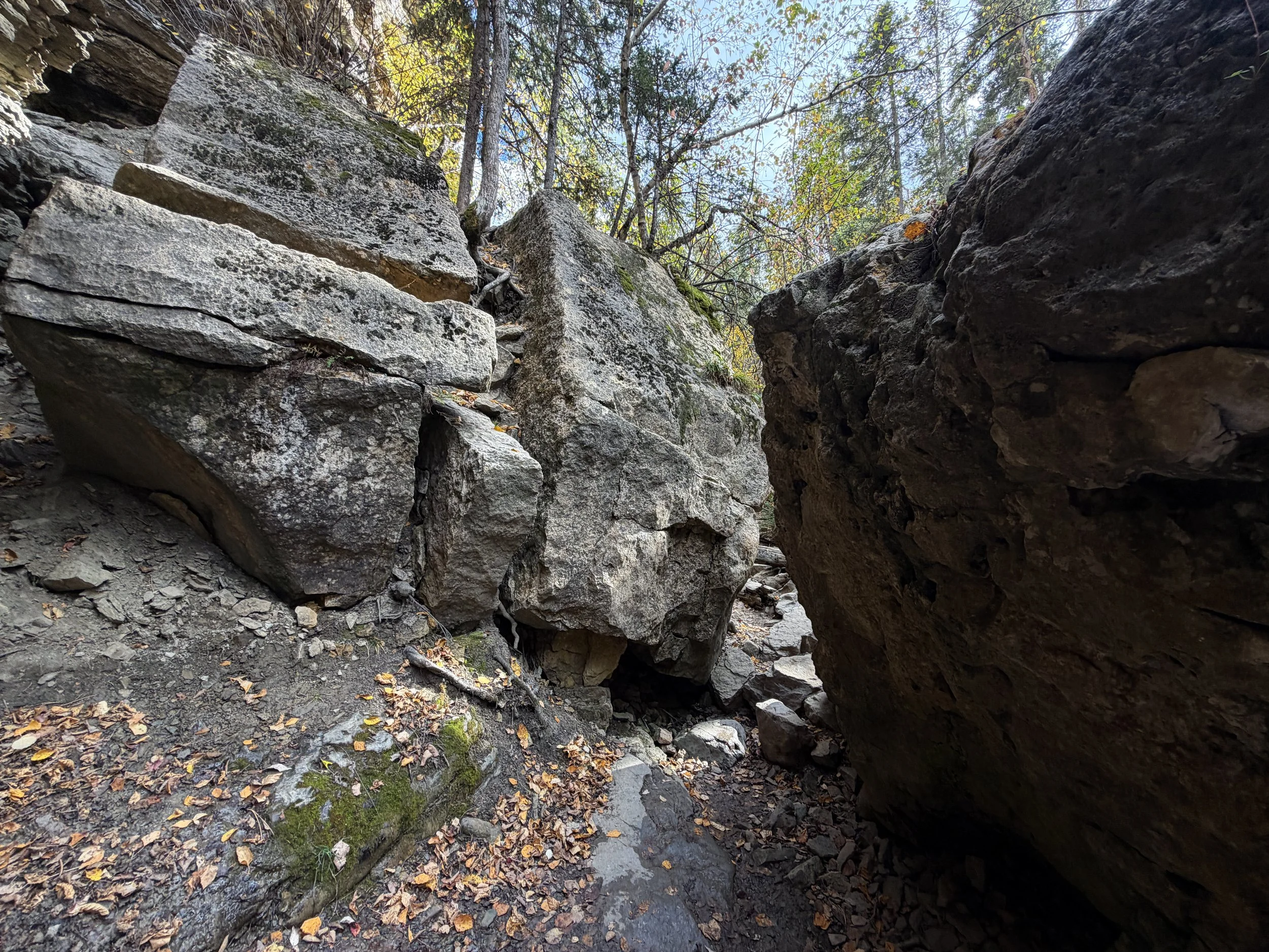 Devils Bathtub Trail Spearfish Canyon Black Hills South Dakota