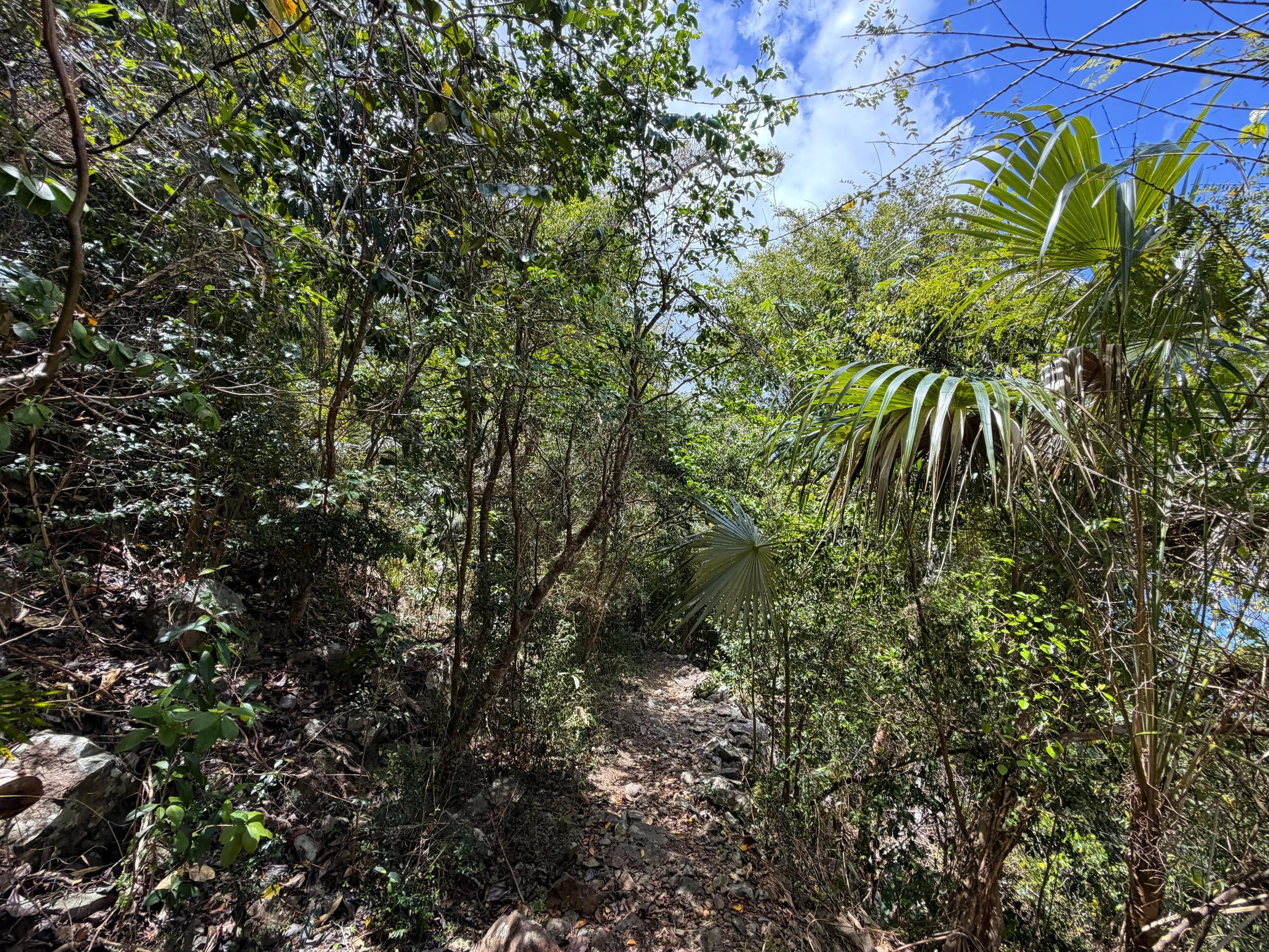 Maria Hope Trail Virgin Islands National Park