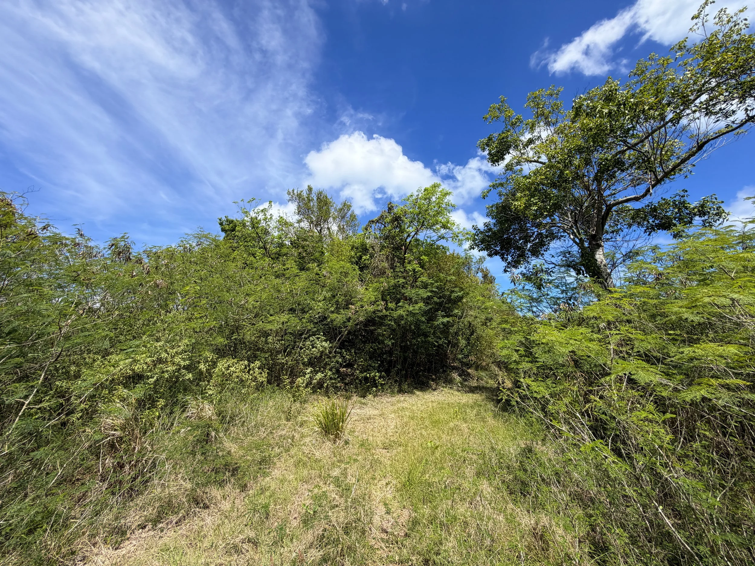 Water Catchment Trail Virgin Islands National Park