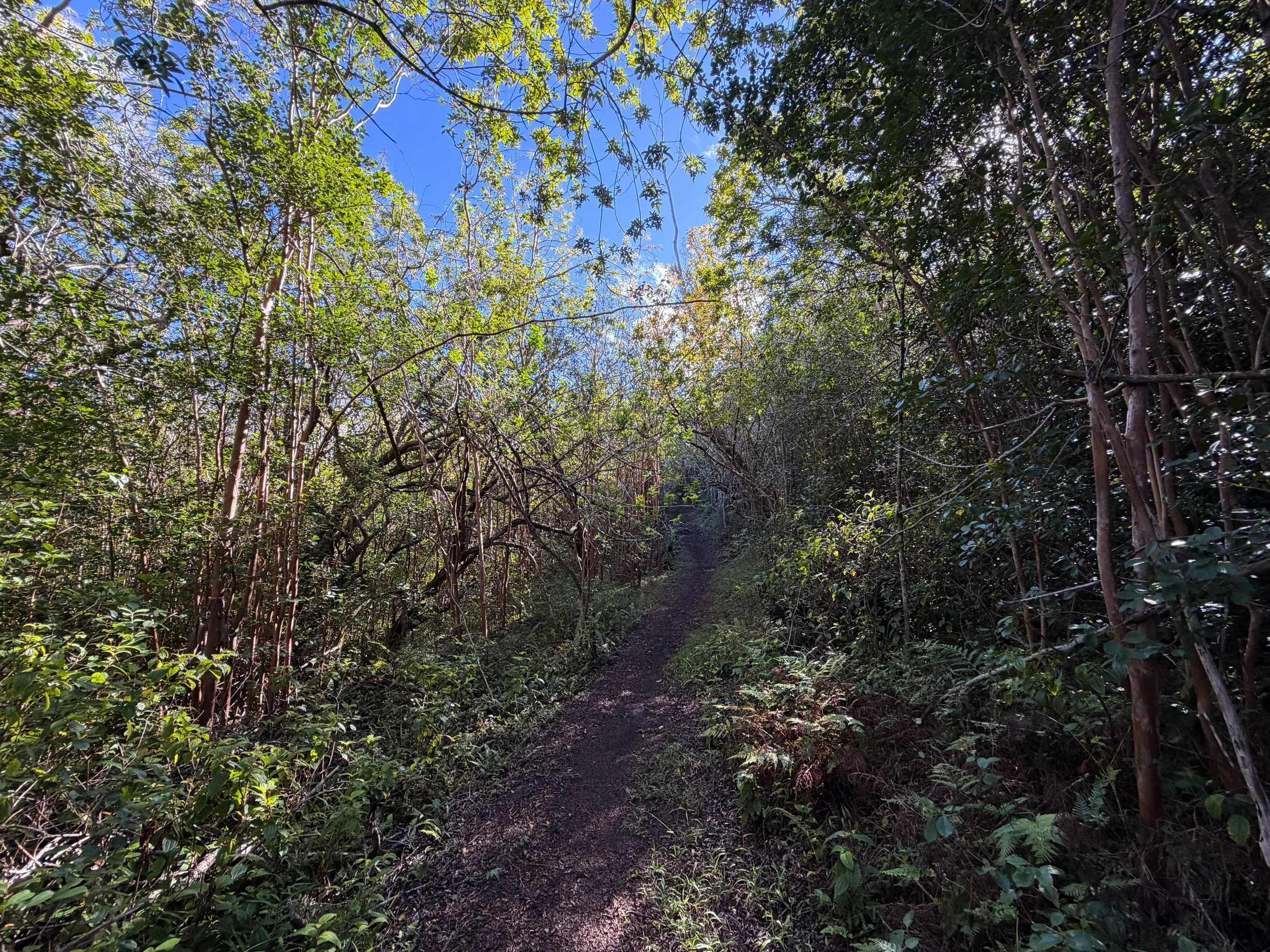 Mokuleia Hike Oahu Hawaii