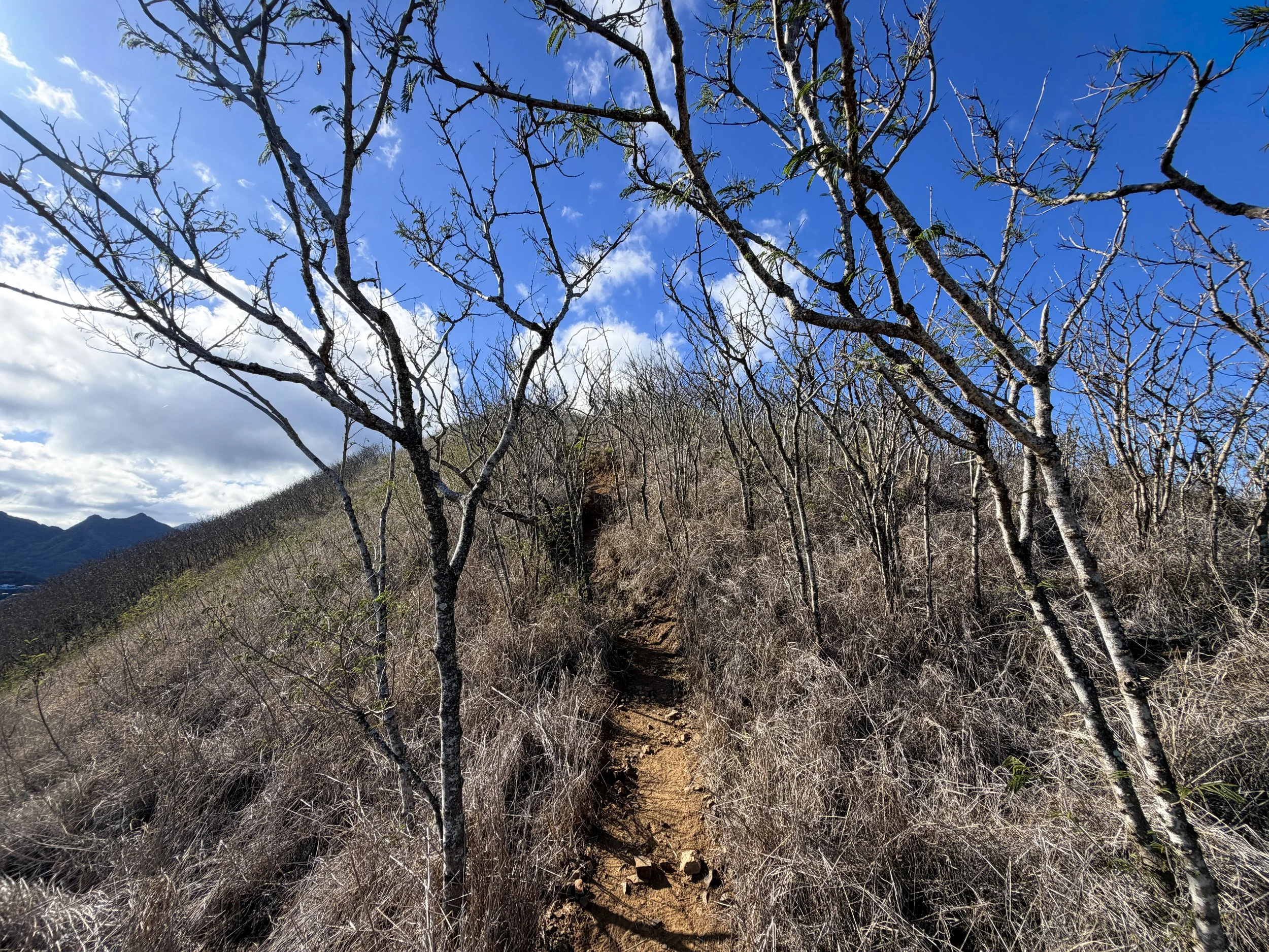 Back Way Kaiwa Ridge Trail Oahu Hawaii