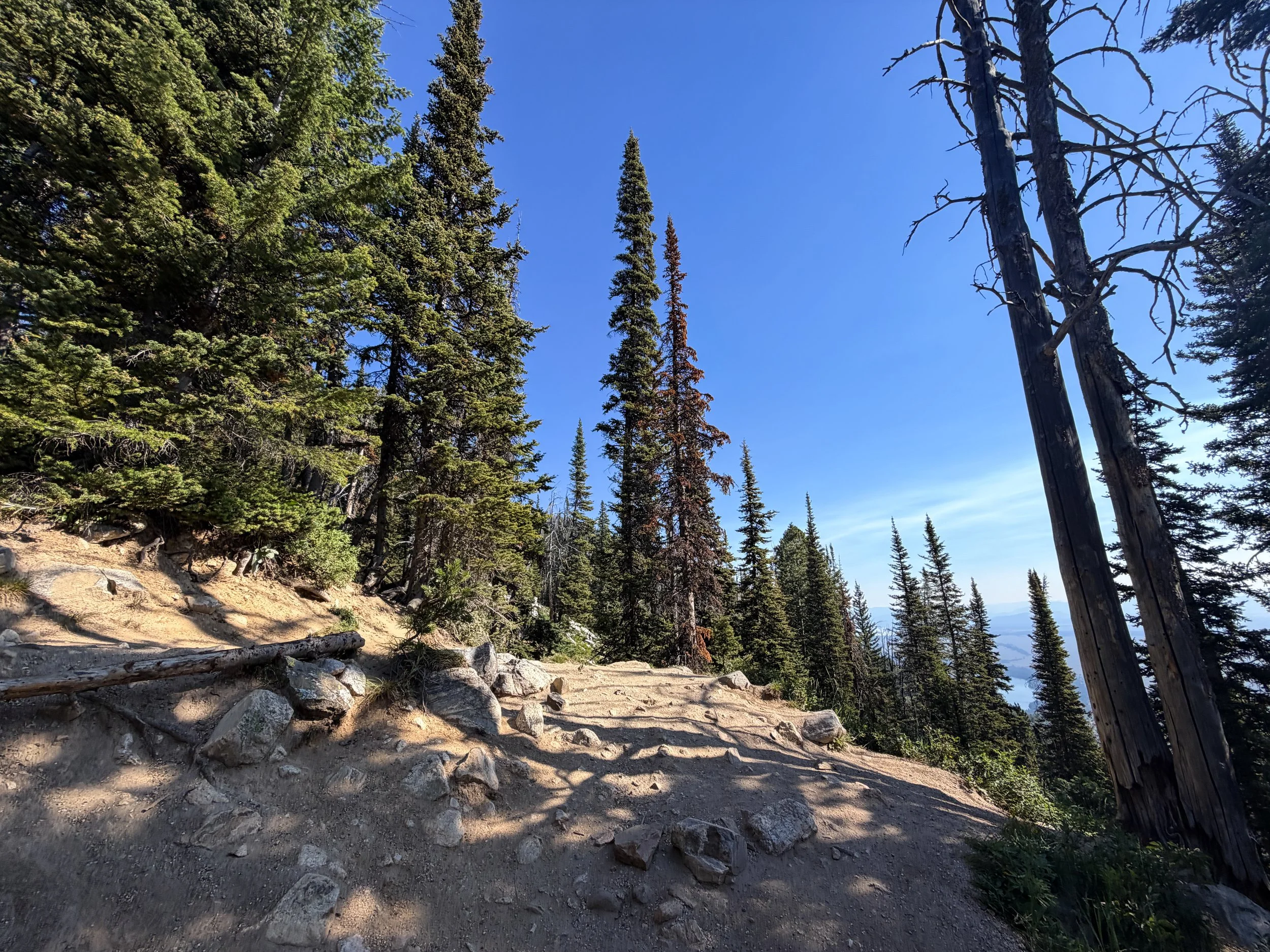 Delta Lake Trail Split Grand Teton National Park Wyoming