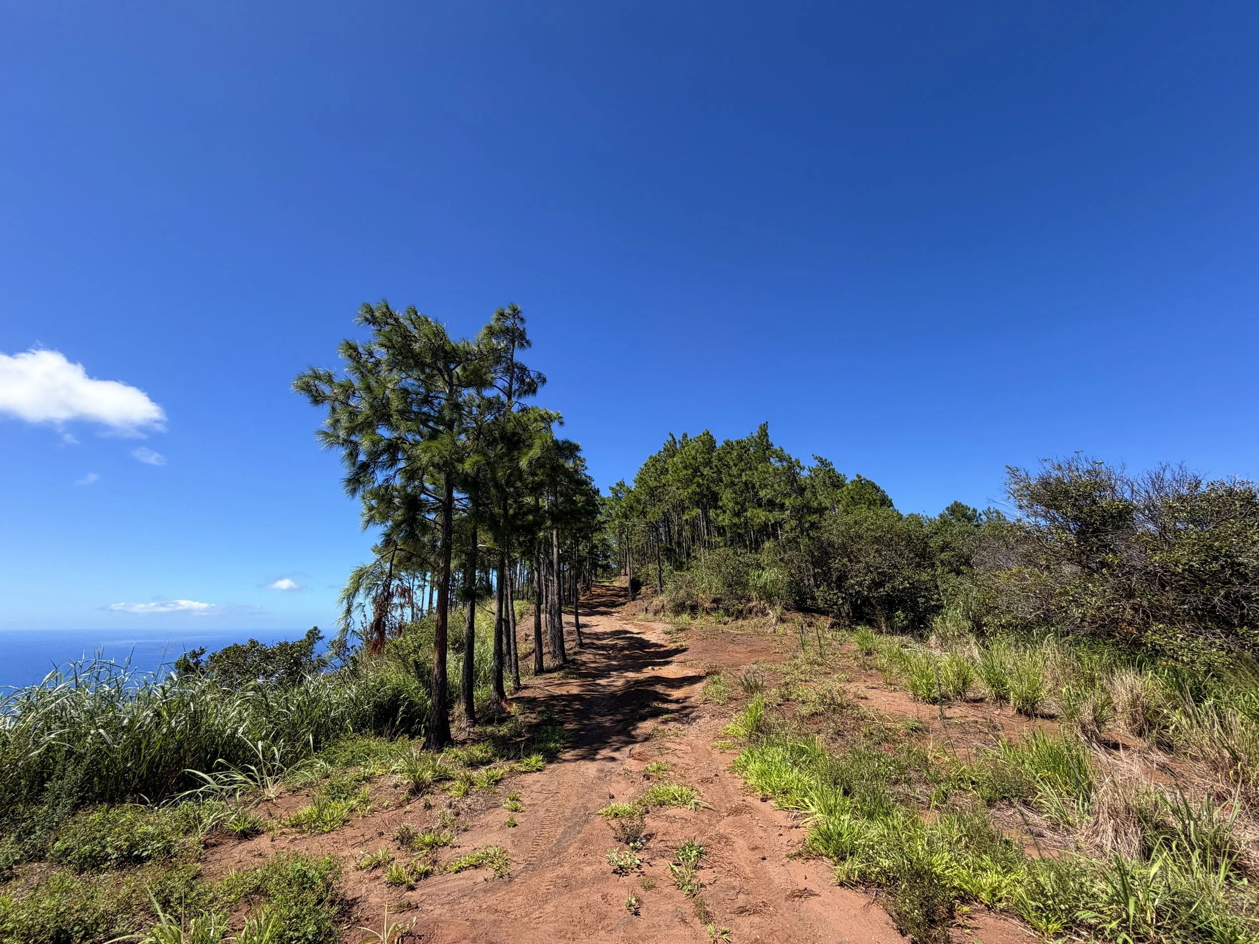 Kuaokala Trail Oahu Hawaii