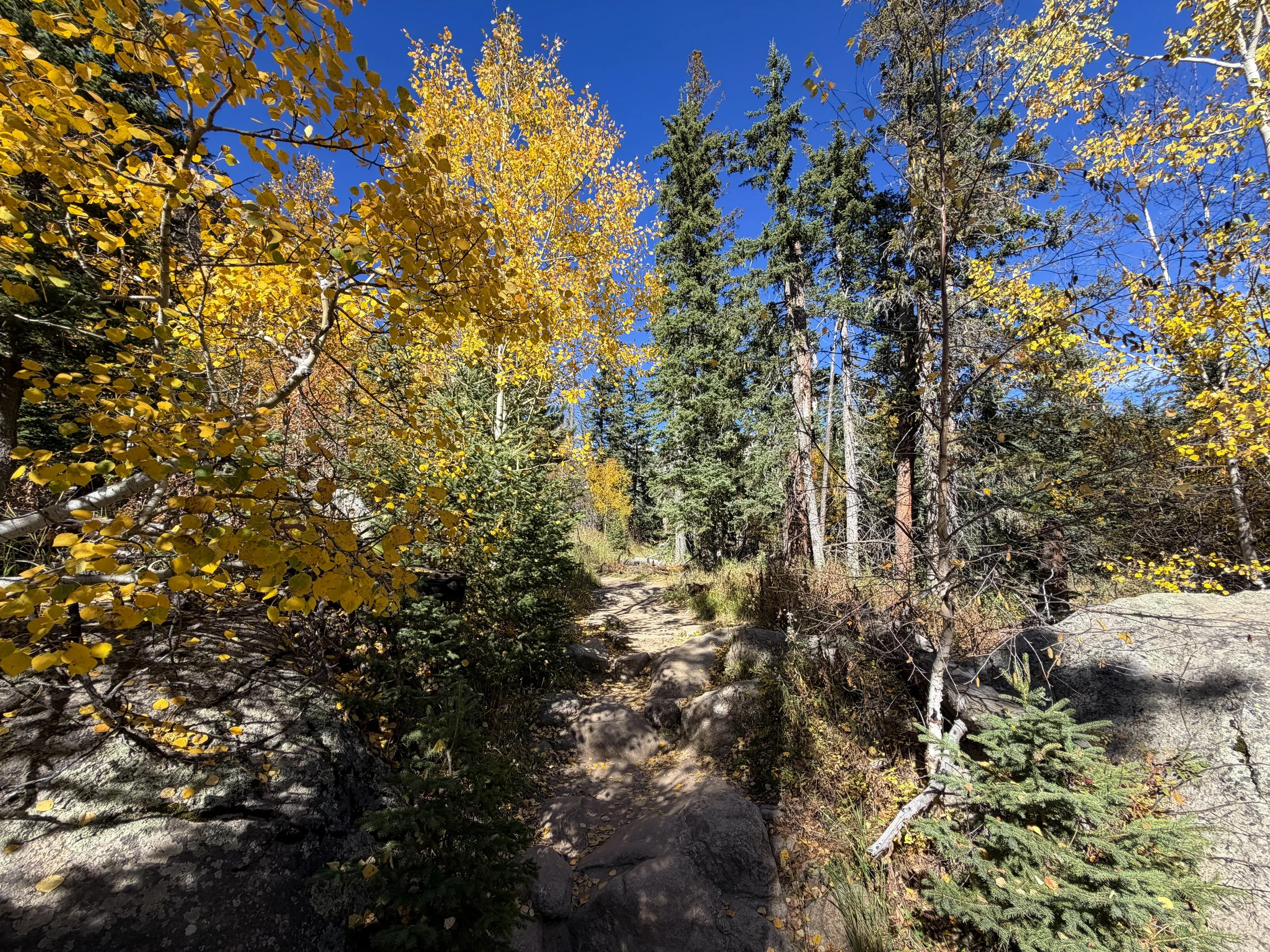 Black Elk Peak via Trail 9 Black Hills South Dakota