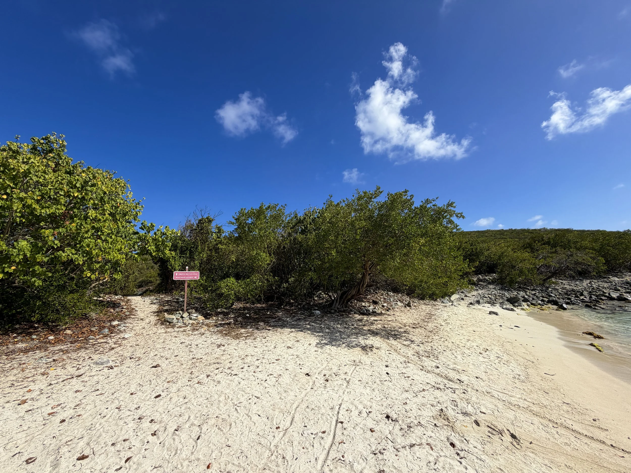 Drunk Bay Trail Virgin Islands National Park
