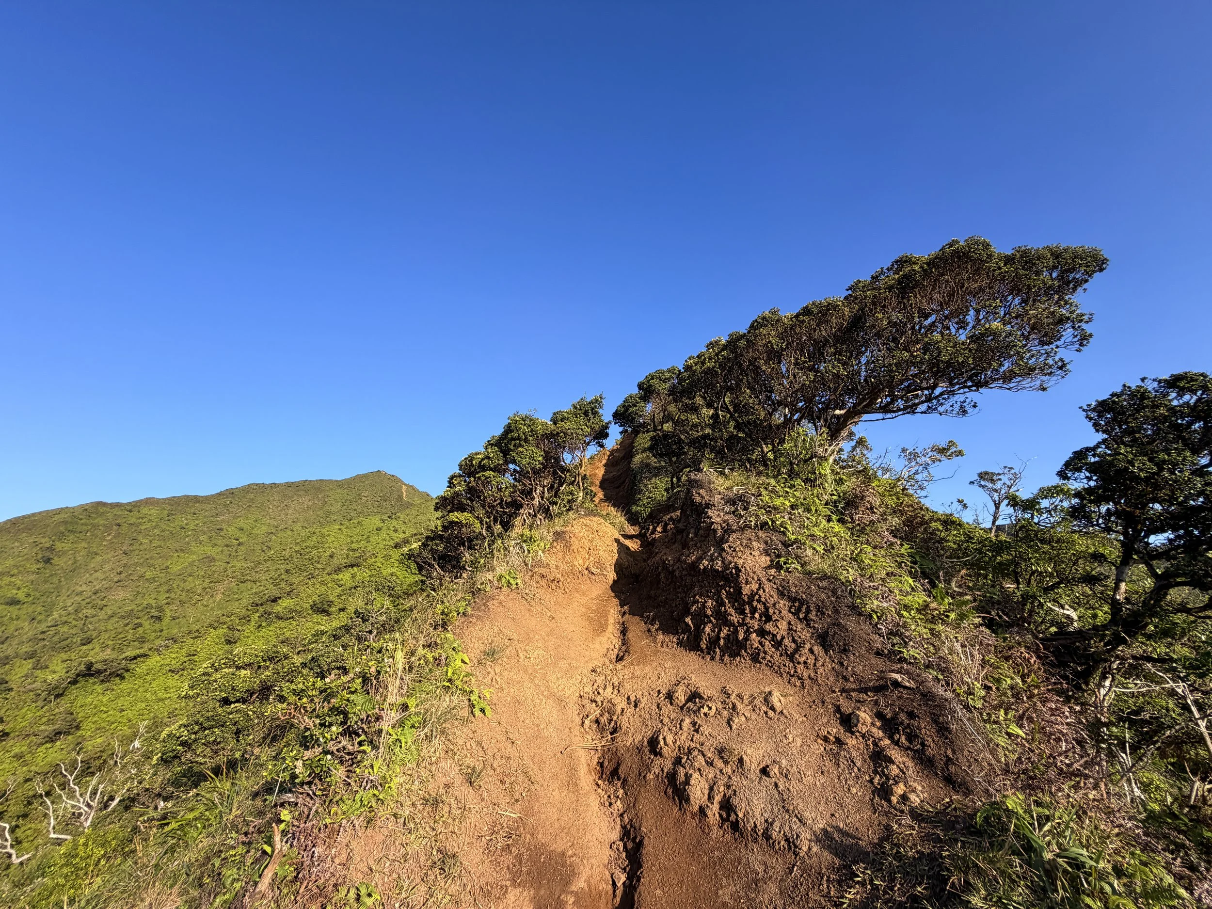 Moanalua Middle Ridge Trail to Haiku Stairs Oahu Hawaii