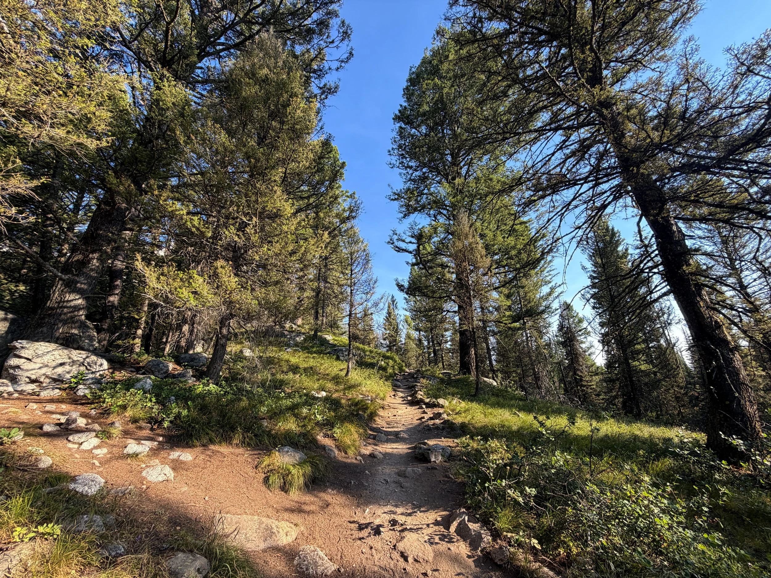 Delta Lake Hike Grand Teton National Park Wyoming