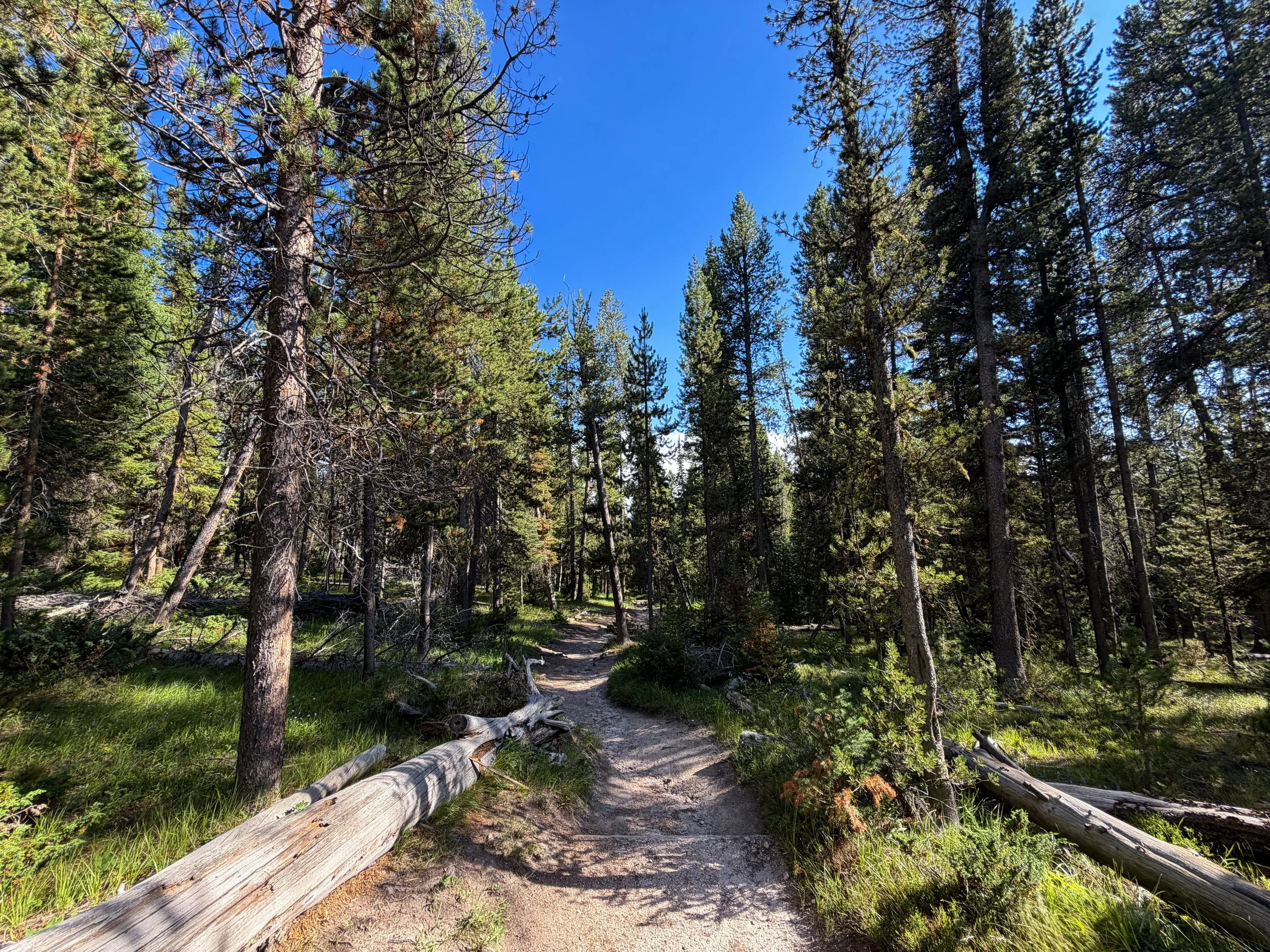 Observation Point Trail Yellowstone National Park Wyoming