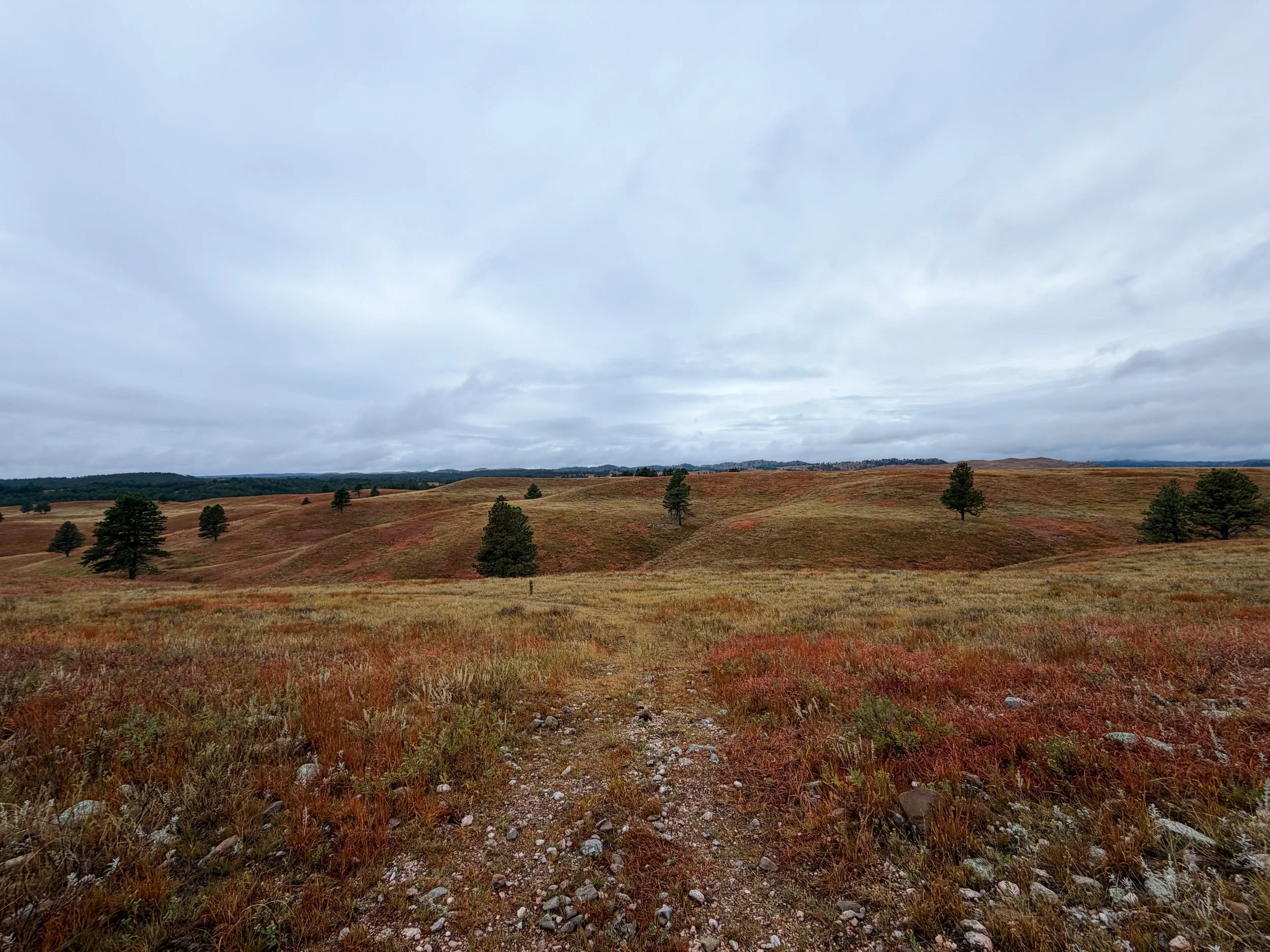 Highland Creek Trail Wind Cave National Park South Dakota