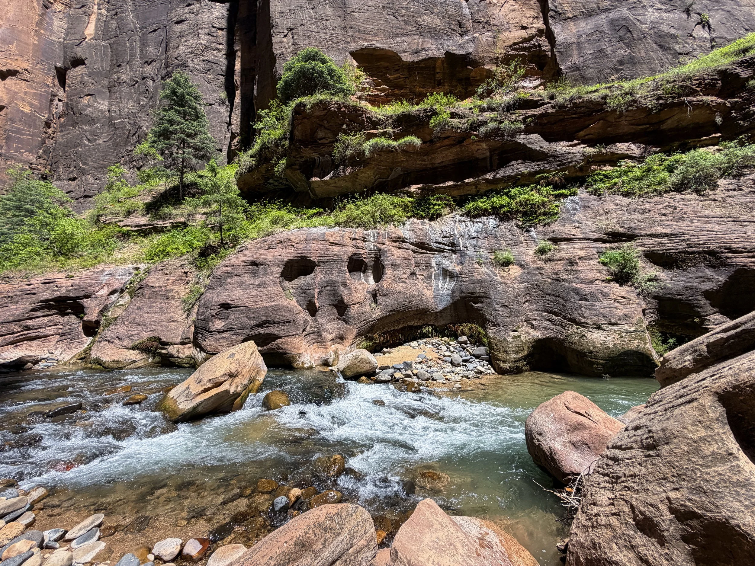 Narrows Bottom-Up Hike to Big Springs Zion National Park Utah
