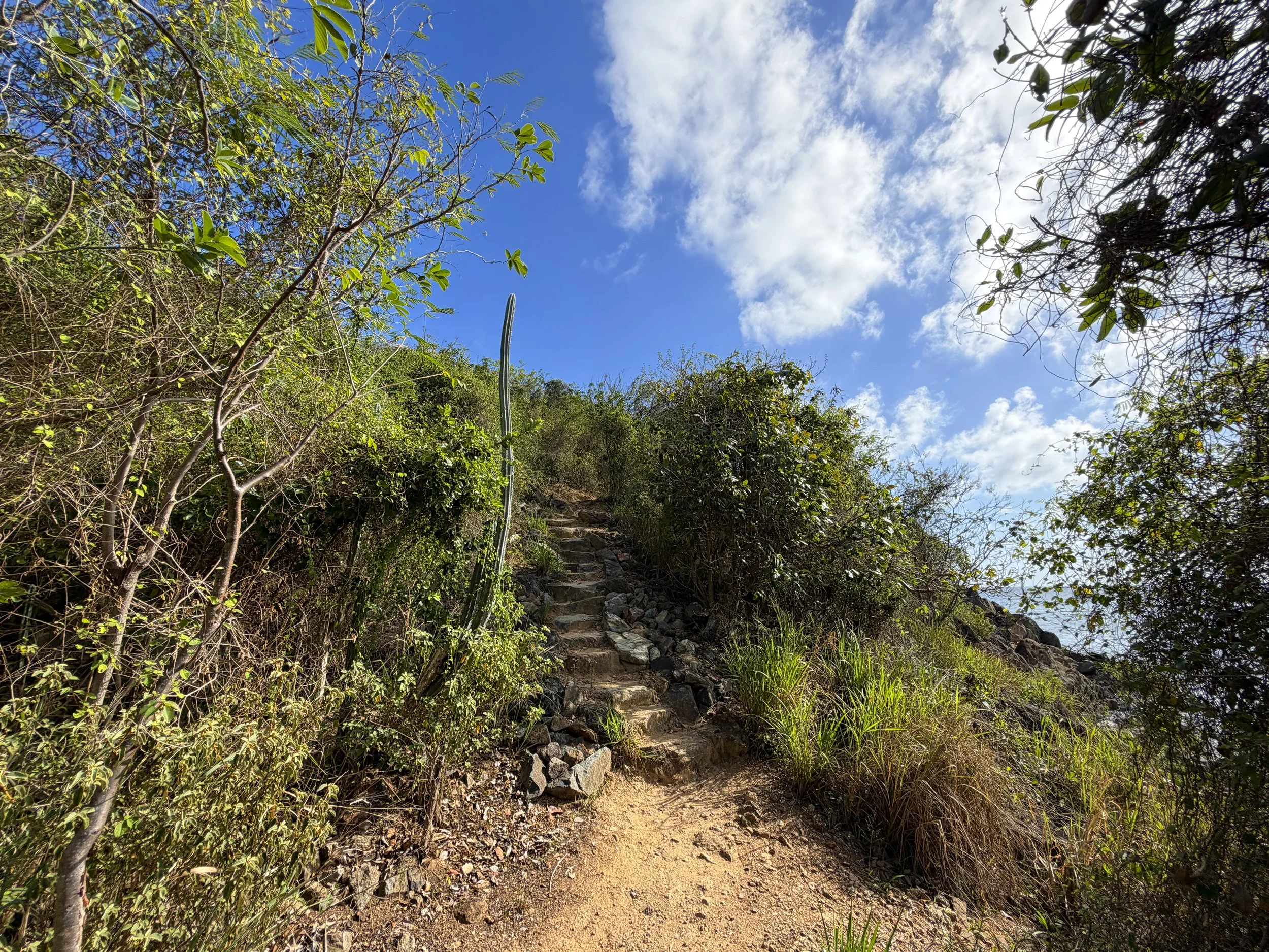 Ram Head Trail Virgin Islands National Park