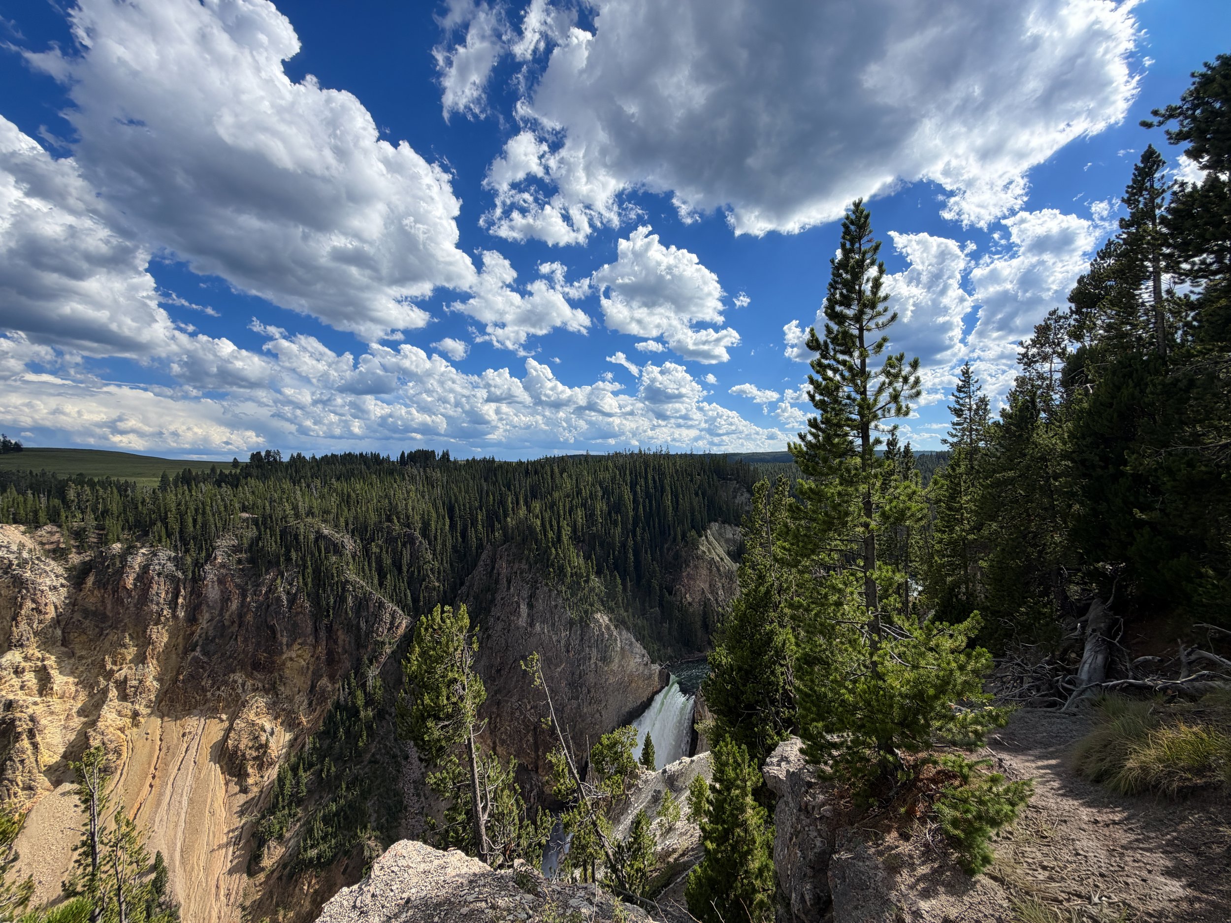 Lower Yellowstone Falls North Rim Trail Yellowstone National Park Wyoming
