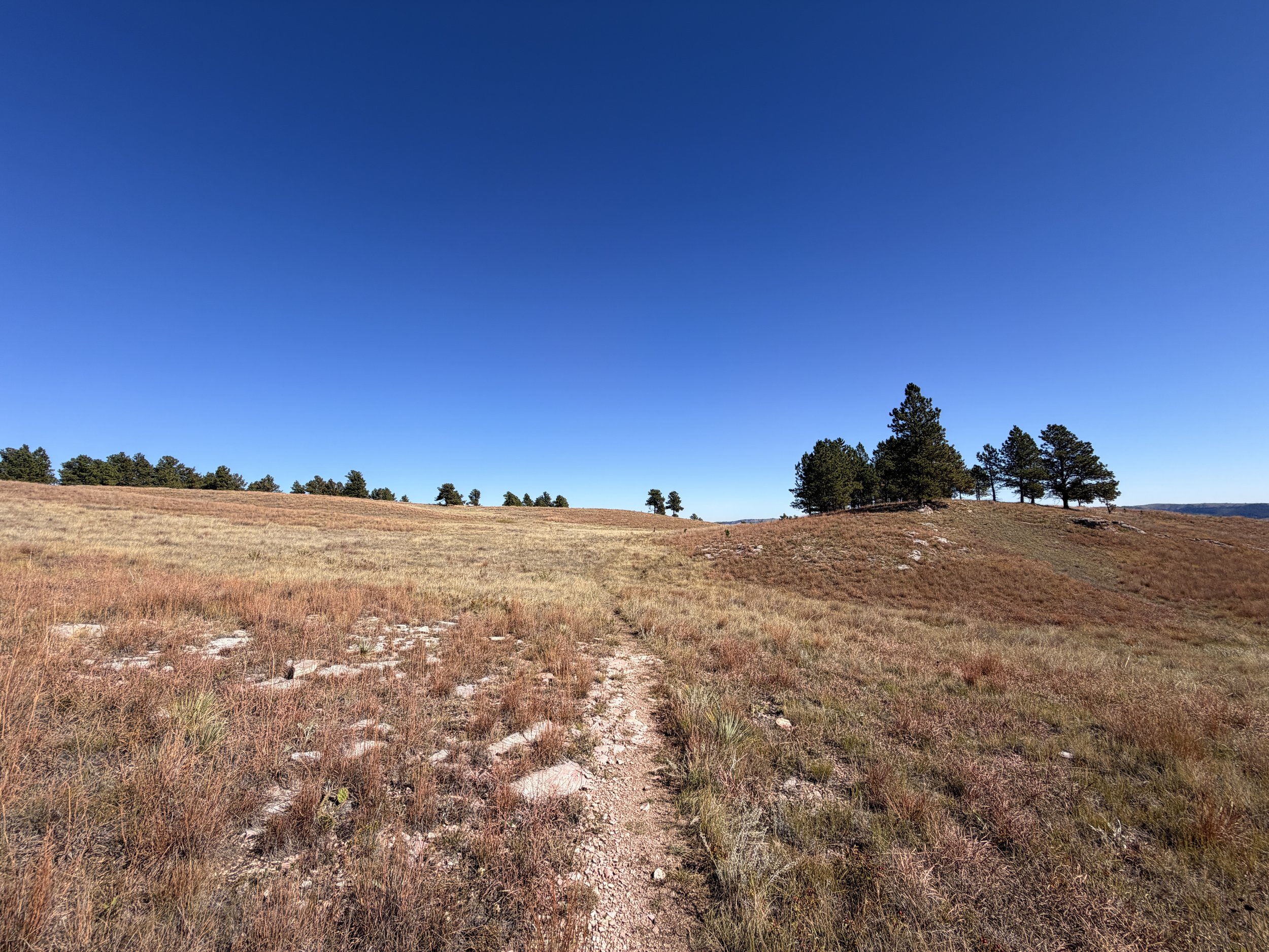 East Bison Flats Trail Wind Cave National Park South Dakota