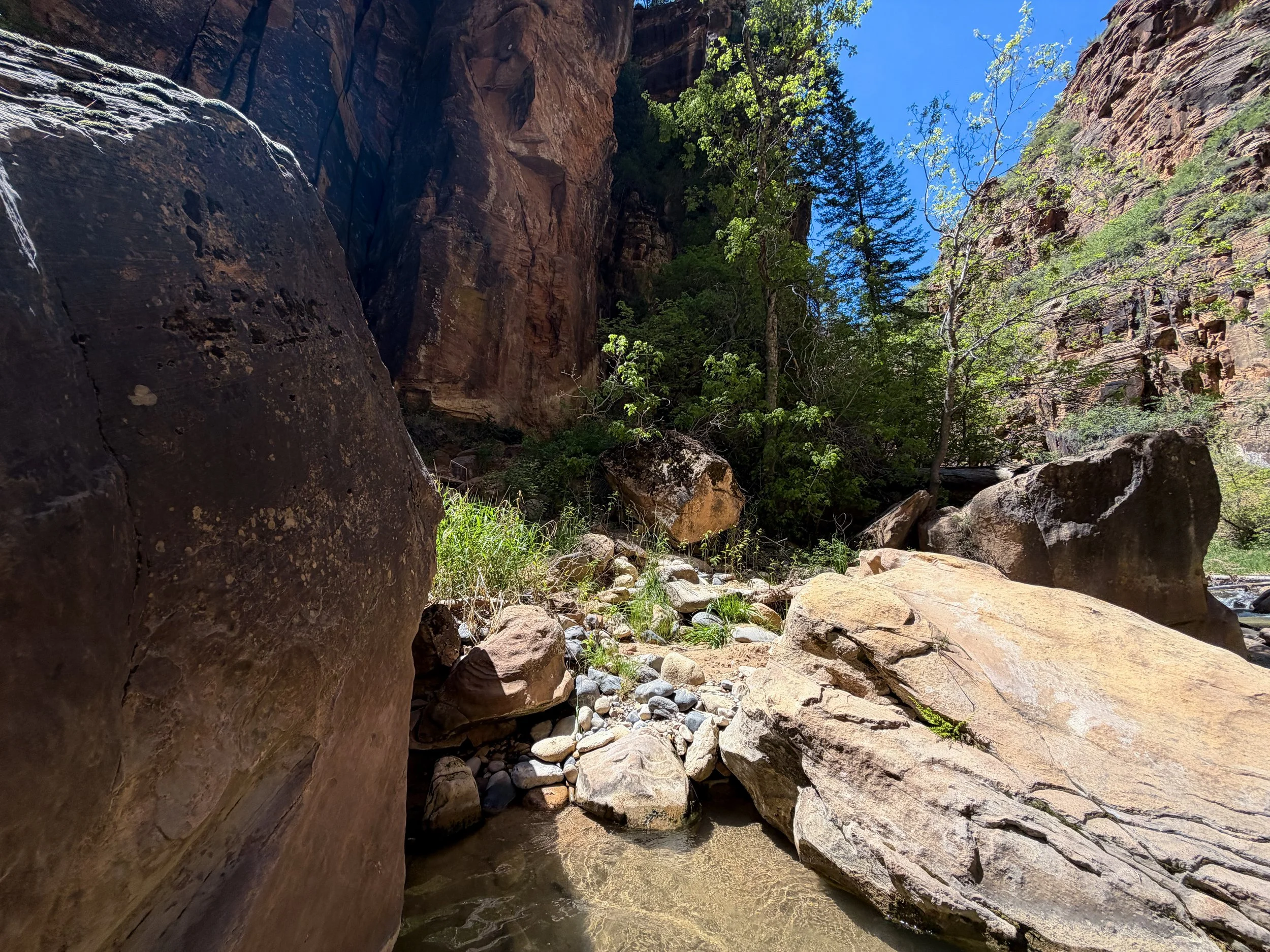 The Narrows Zion National Park Utah