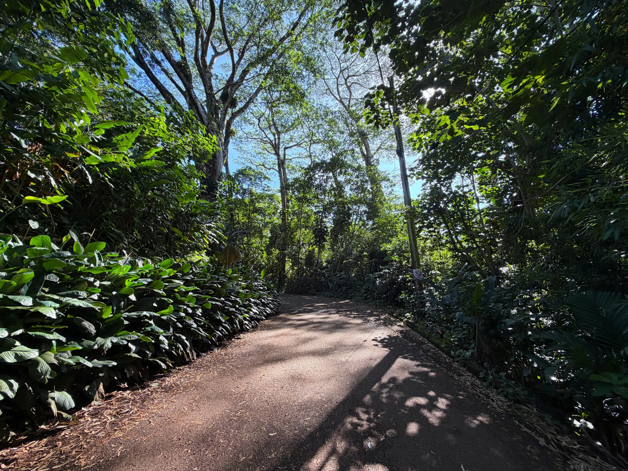 Manoa Falls Trailhead Oahu Hawaii
