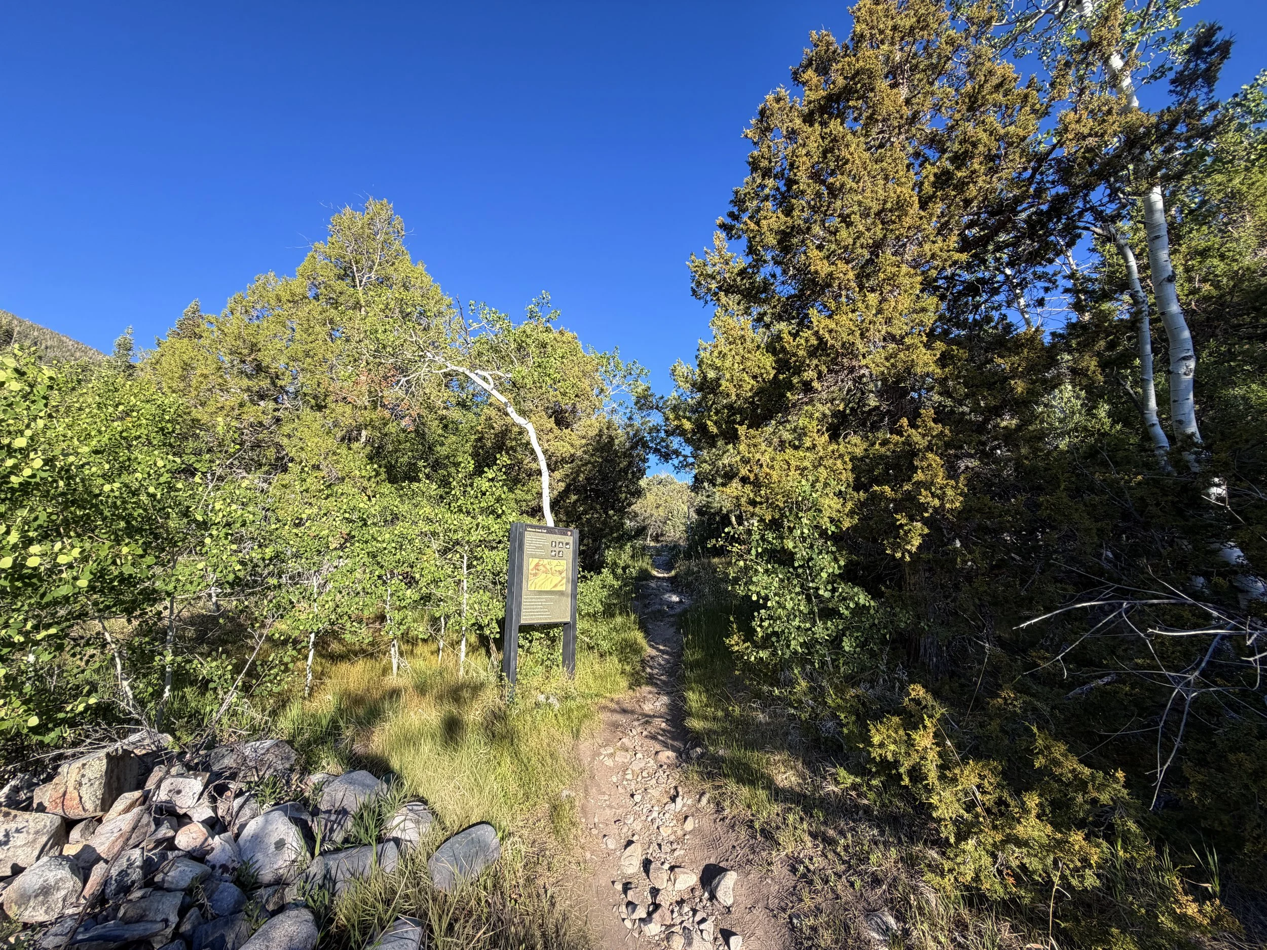 Lehman Creek Trailhead Great Basin National Park Nevada