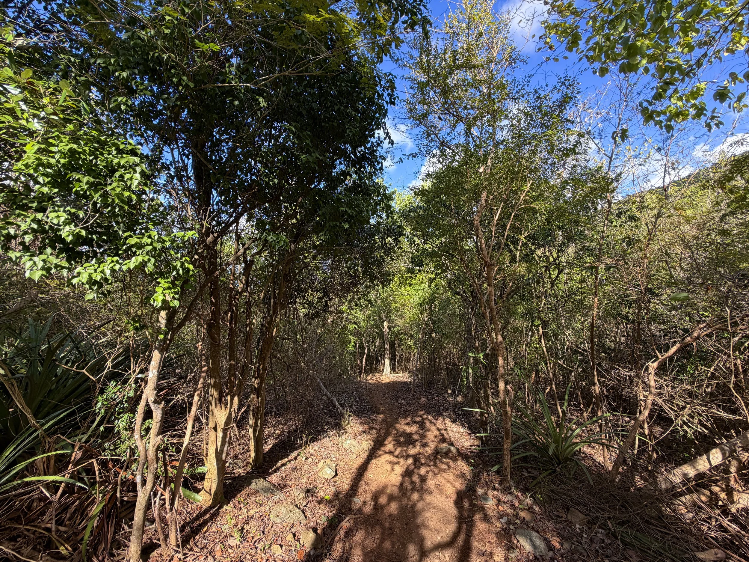 Denis Bay Trail Virgin Islands National Park