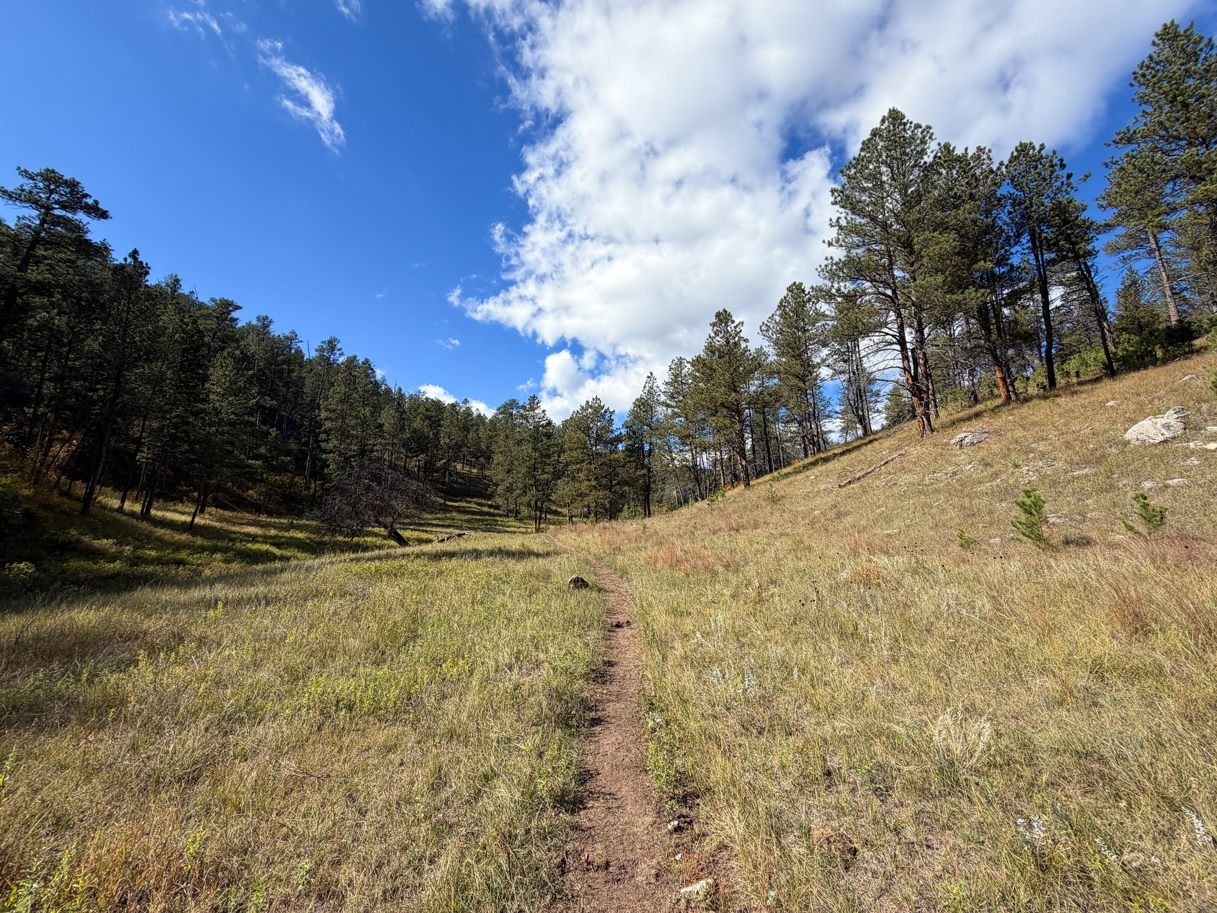 Lookout Point Loop Trail Wind Cave National Park South Dakota