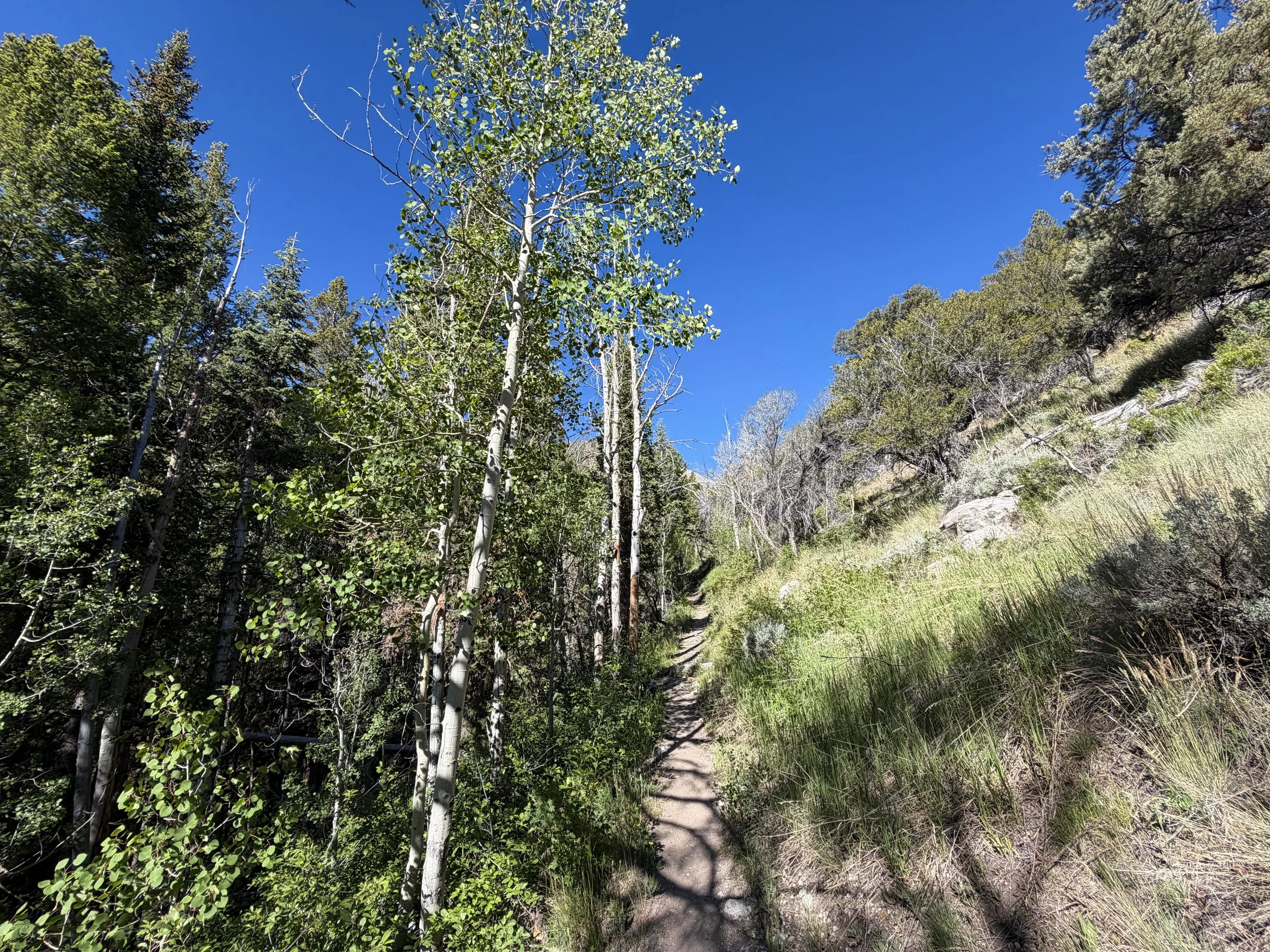 Baker Lake Trail Great Basin National Park Nevada